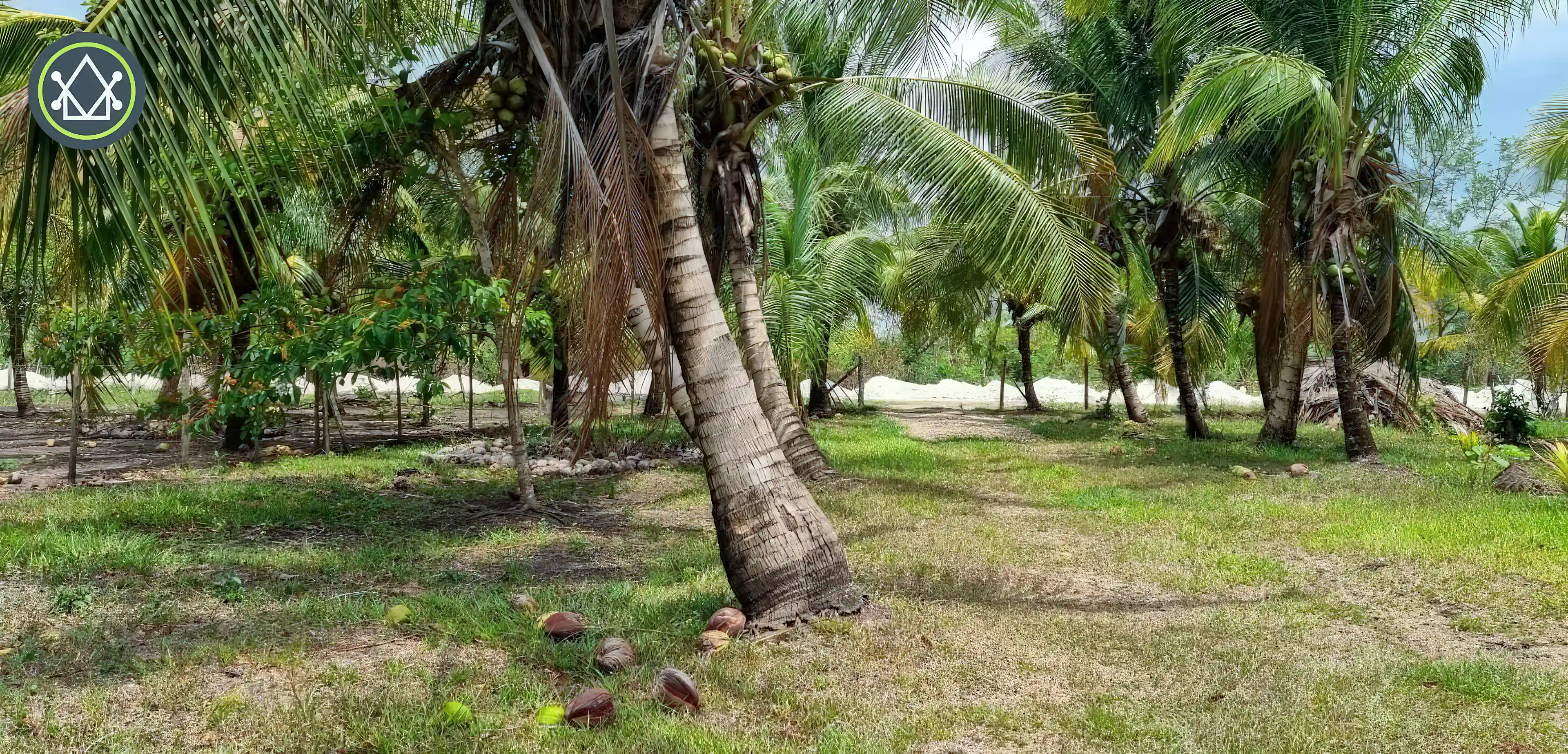 Farm for Sale in Spanish Lookout, Cayo District, Belize