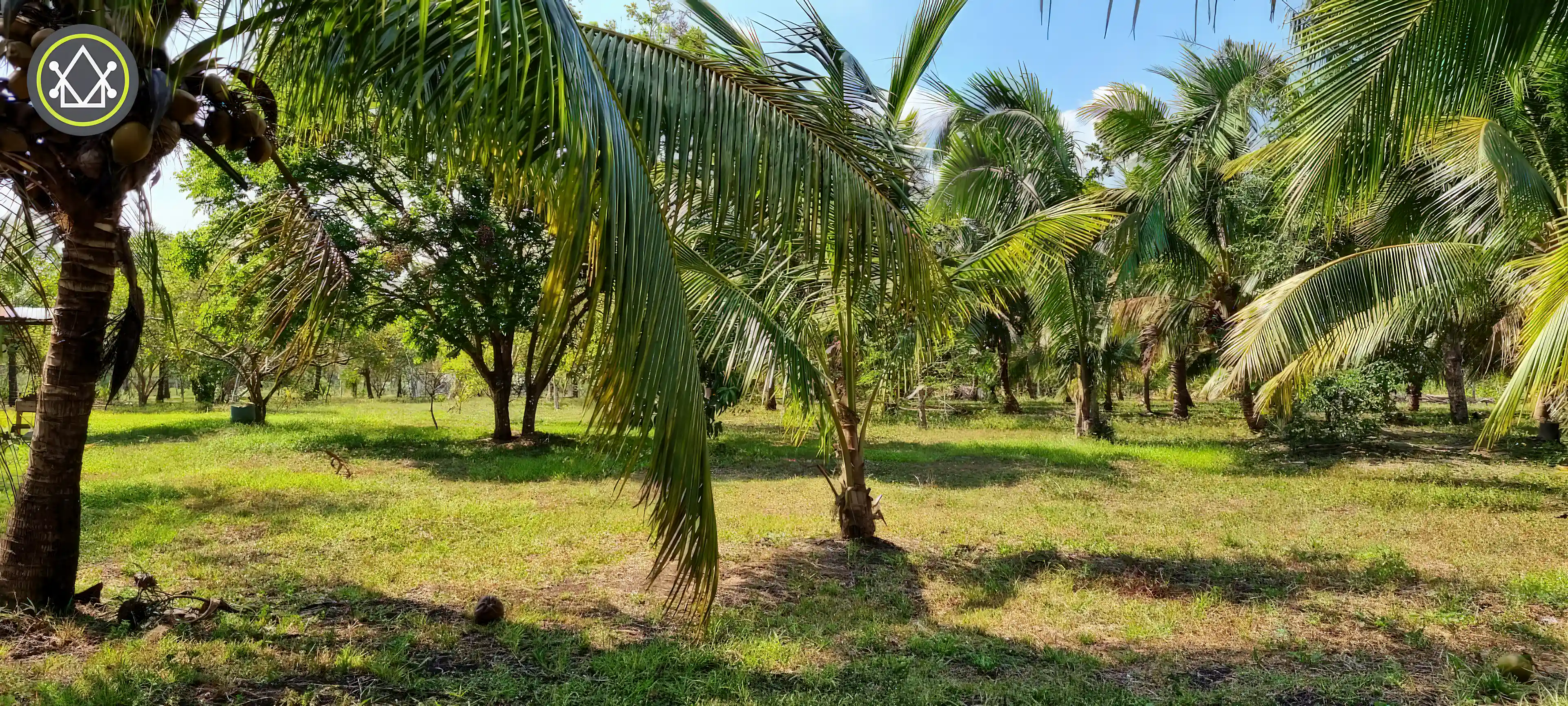Farm for Sale in Spanish Lookout, Cayo District, Belize