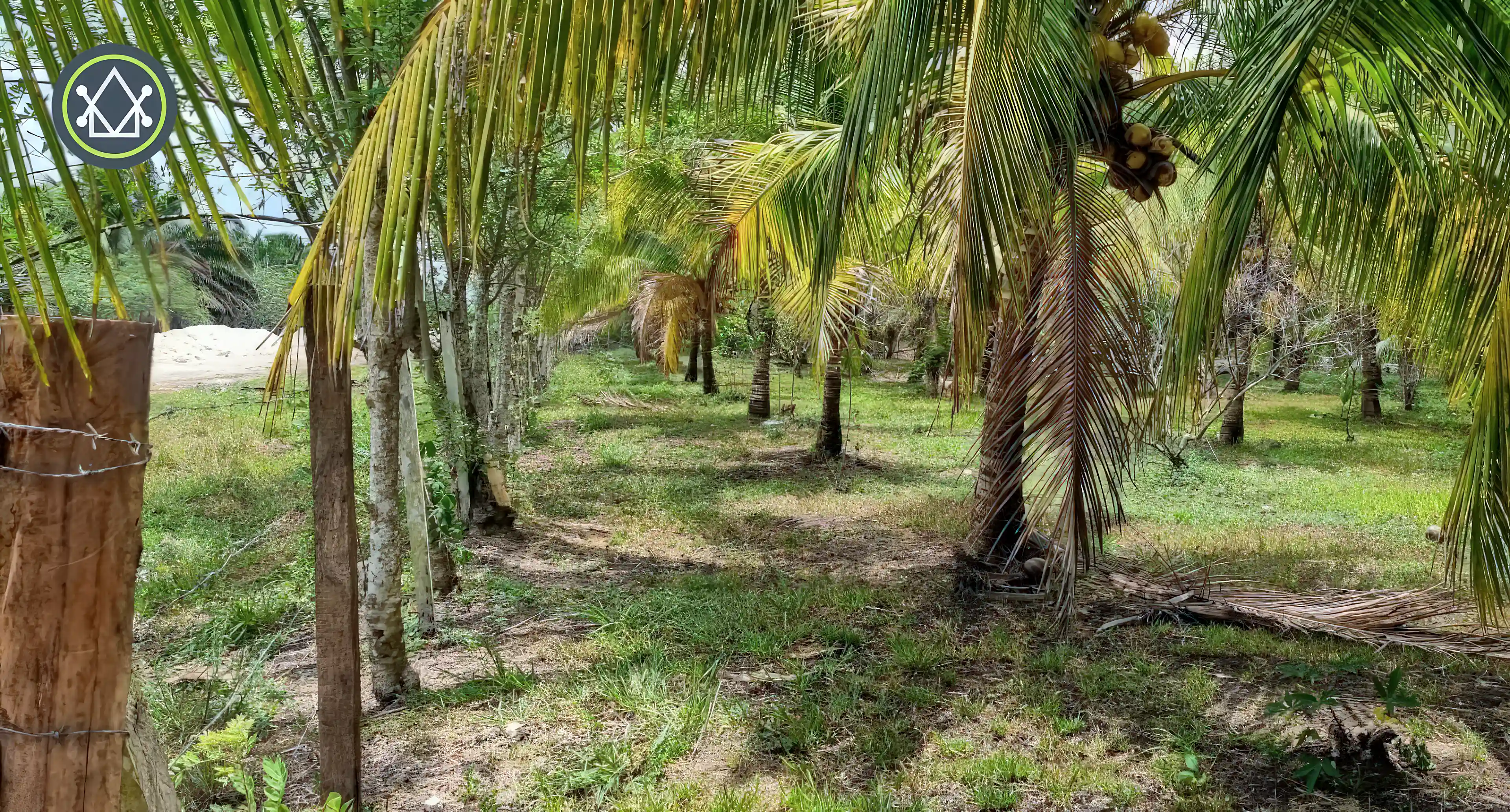 Farm for Sale in Spanish Lookout, Cayo District, Belize