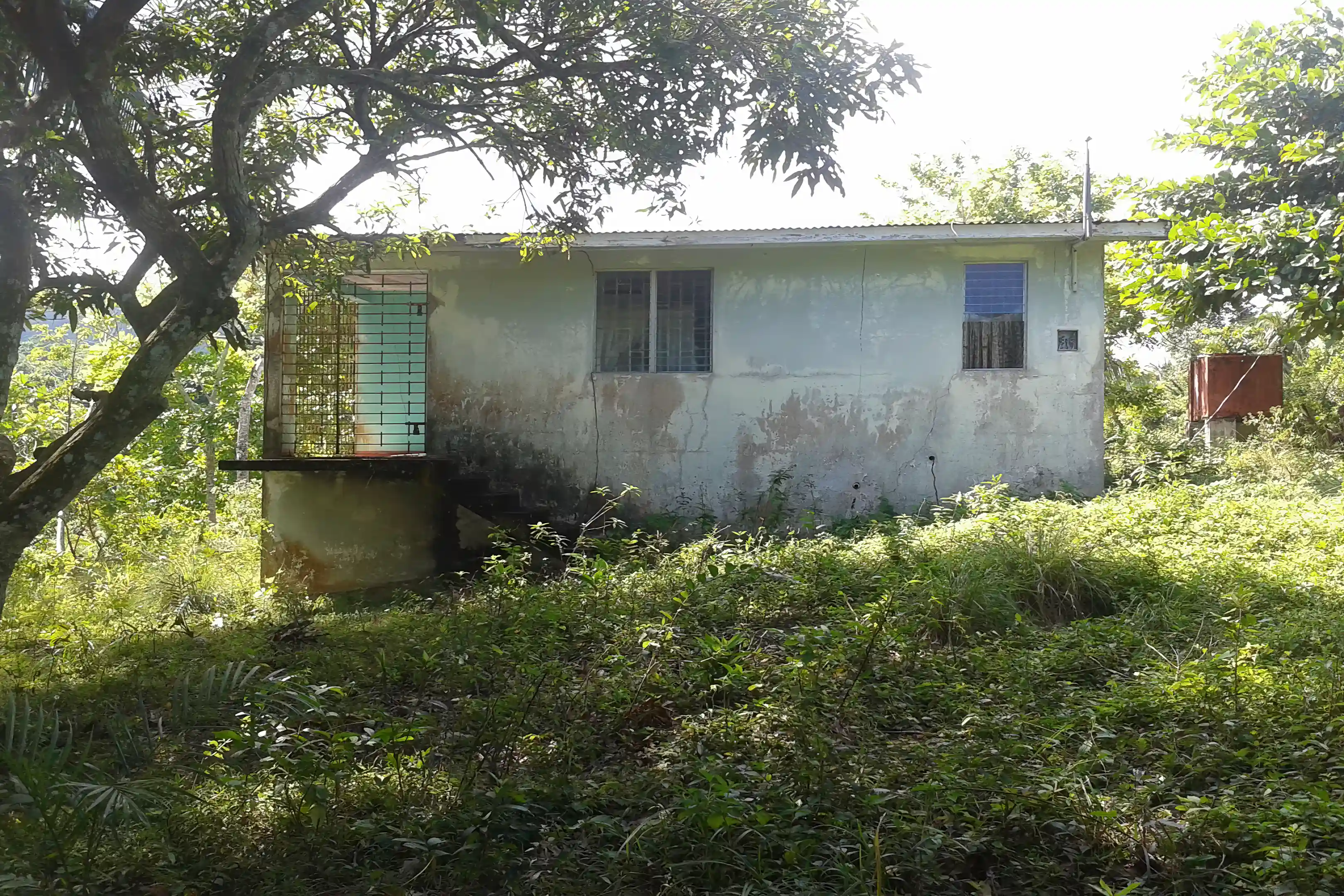 Farm for Sale in Free Hill, St. Mary, Jamaica