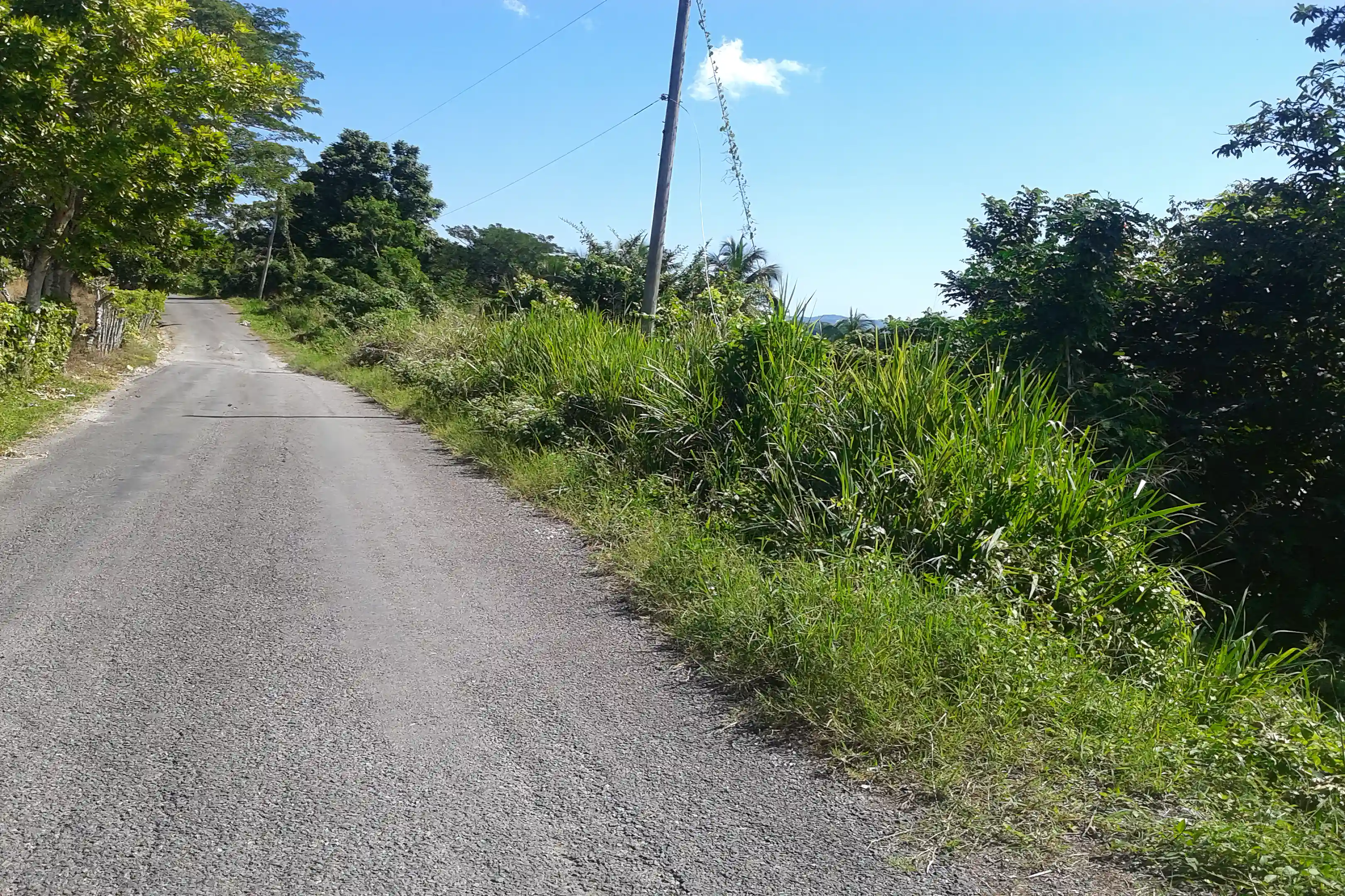 Farm for Sale in Free Hill, St. Mary, Jamaica