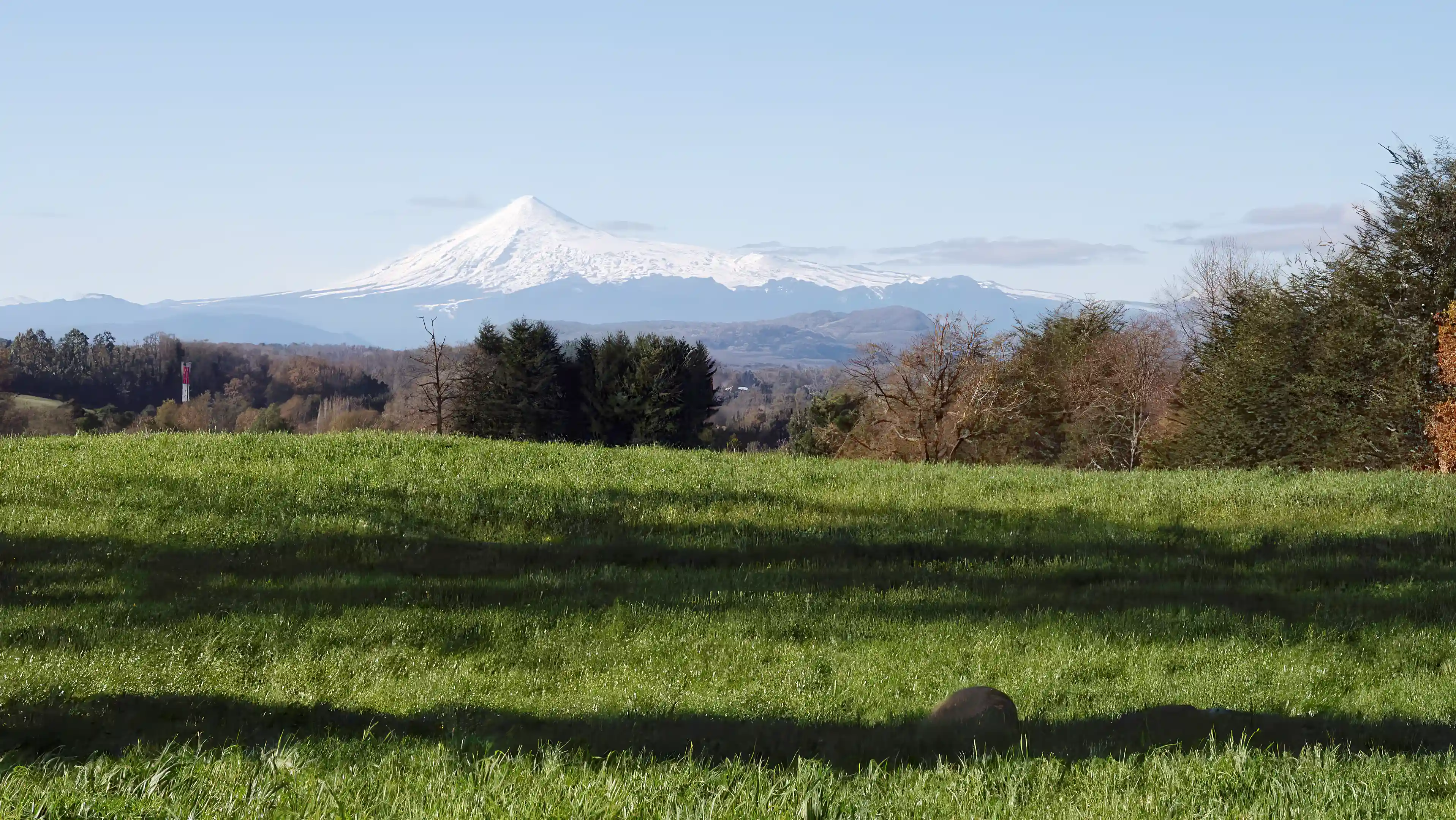 Premium Lots for Sale in Fundo Palguín, Panguipulli, Valdvia, Chile