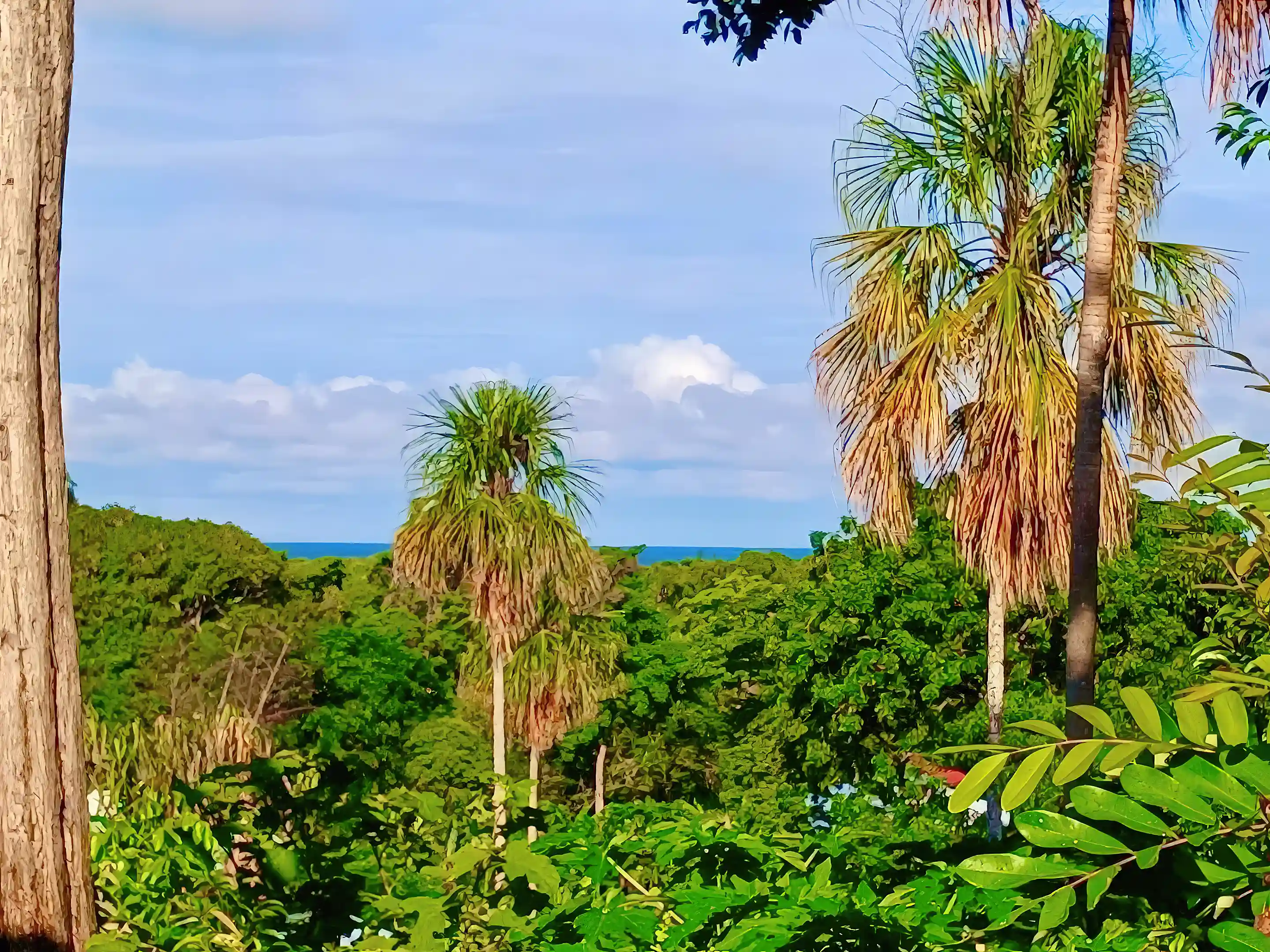 Beach House for Sale in Utila, Bay Islands, Honduras