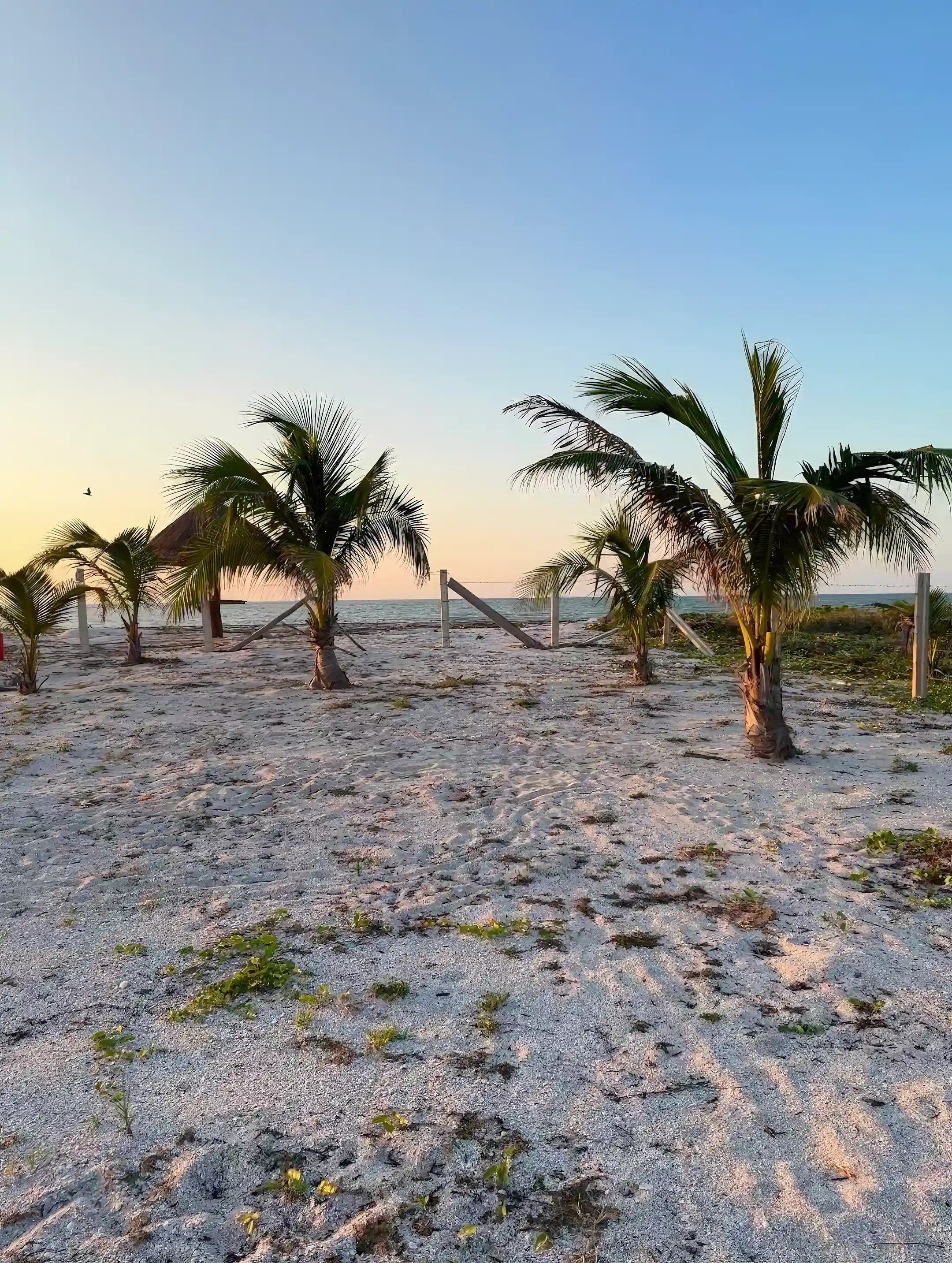 Beachfront Lots for Sale in Isla Aguada, Carmen, Campeche, Mexico