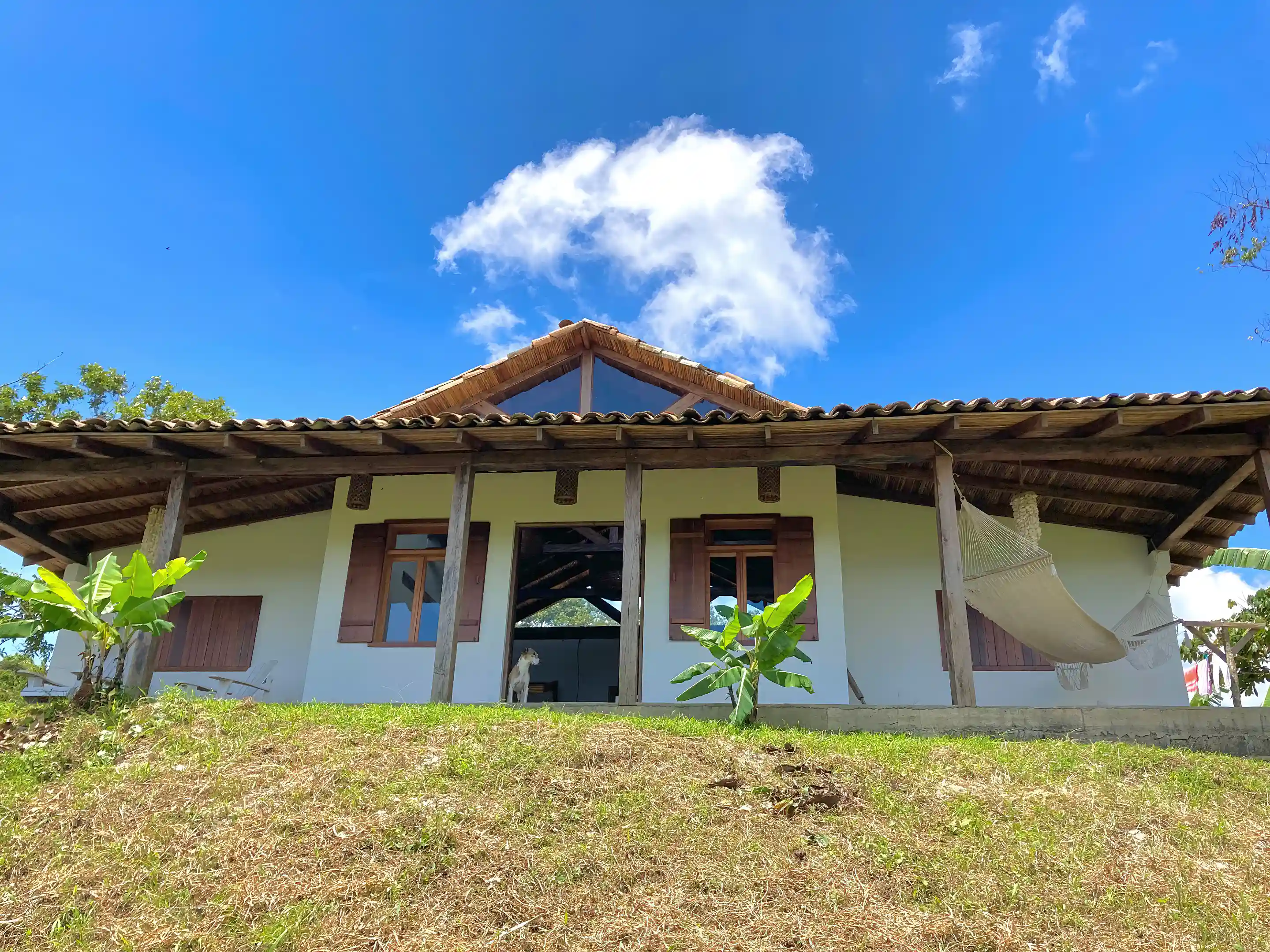 coffee-and-cacao-farm-for-sale-in-el-tepeyac-area-de-la-cumplida