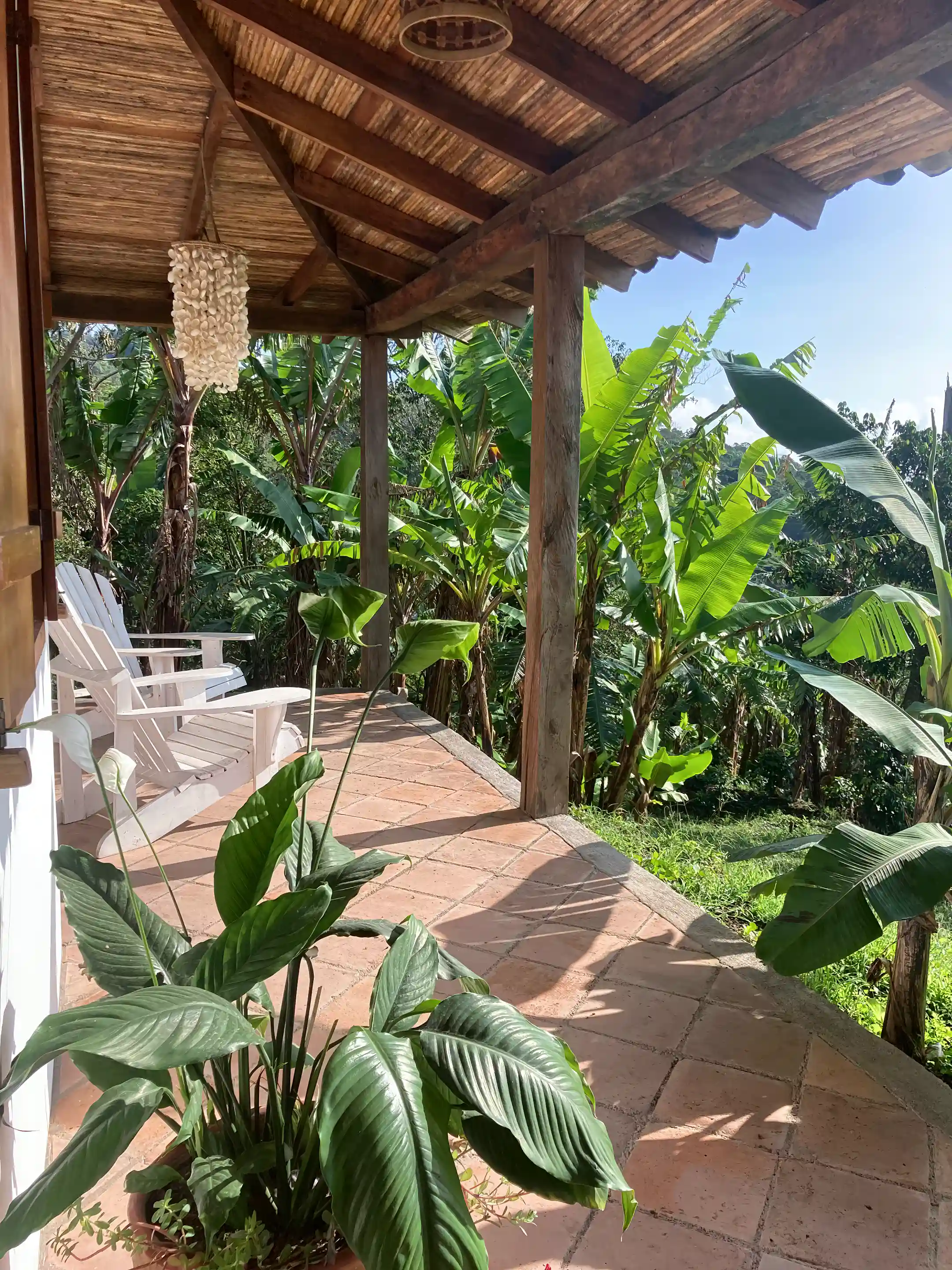 coffee-and-cacao-farm-for-sale-in-el-tepeyac-area-de-la-cumplida