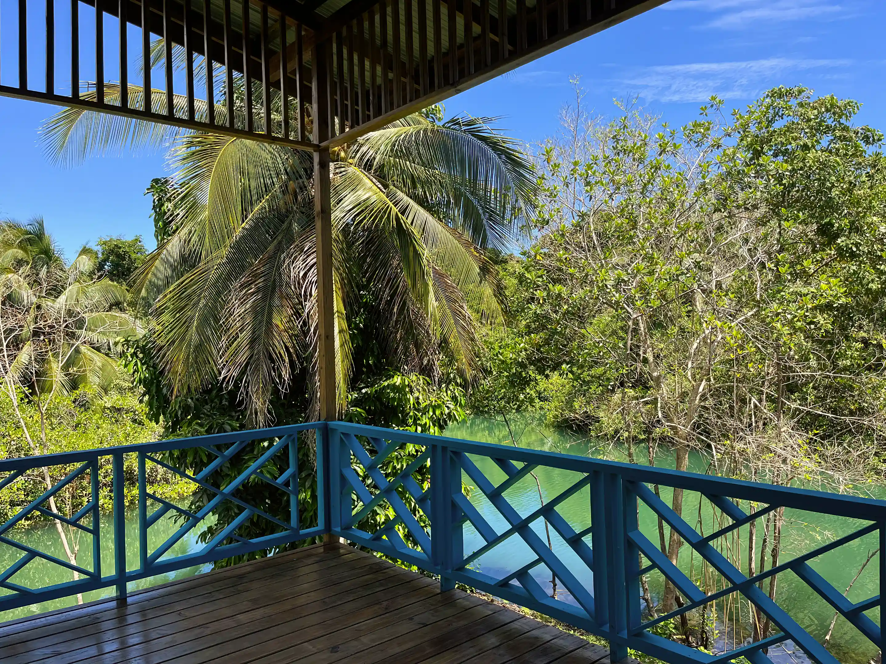 view from large deck