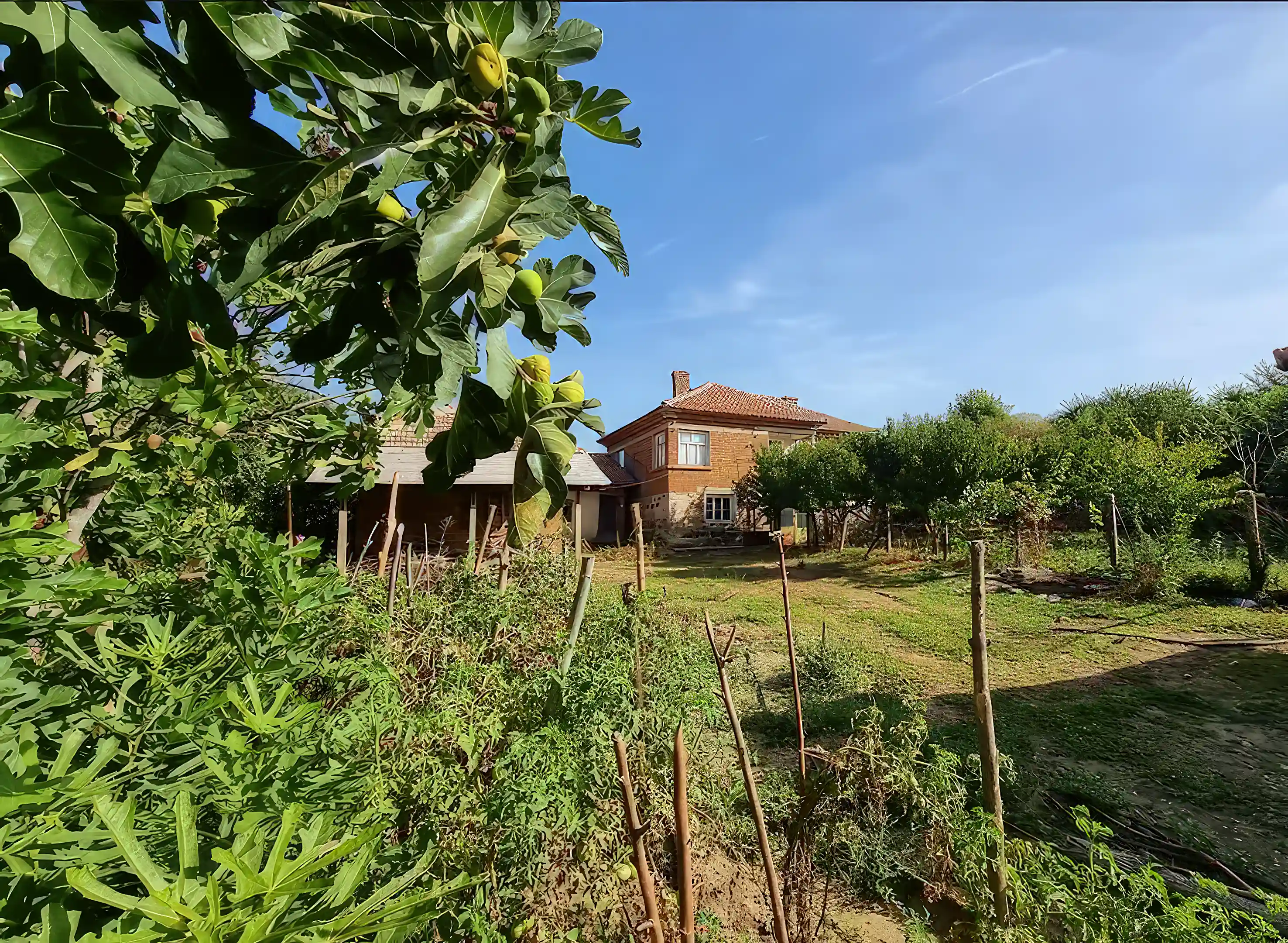 country-house-for-sale-in-studena-svilengrad-haskovo-bulgaria