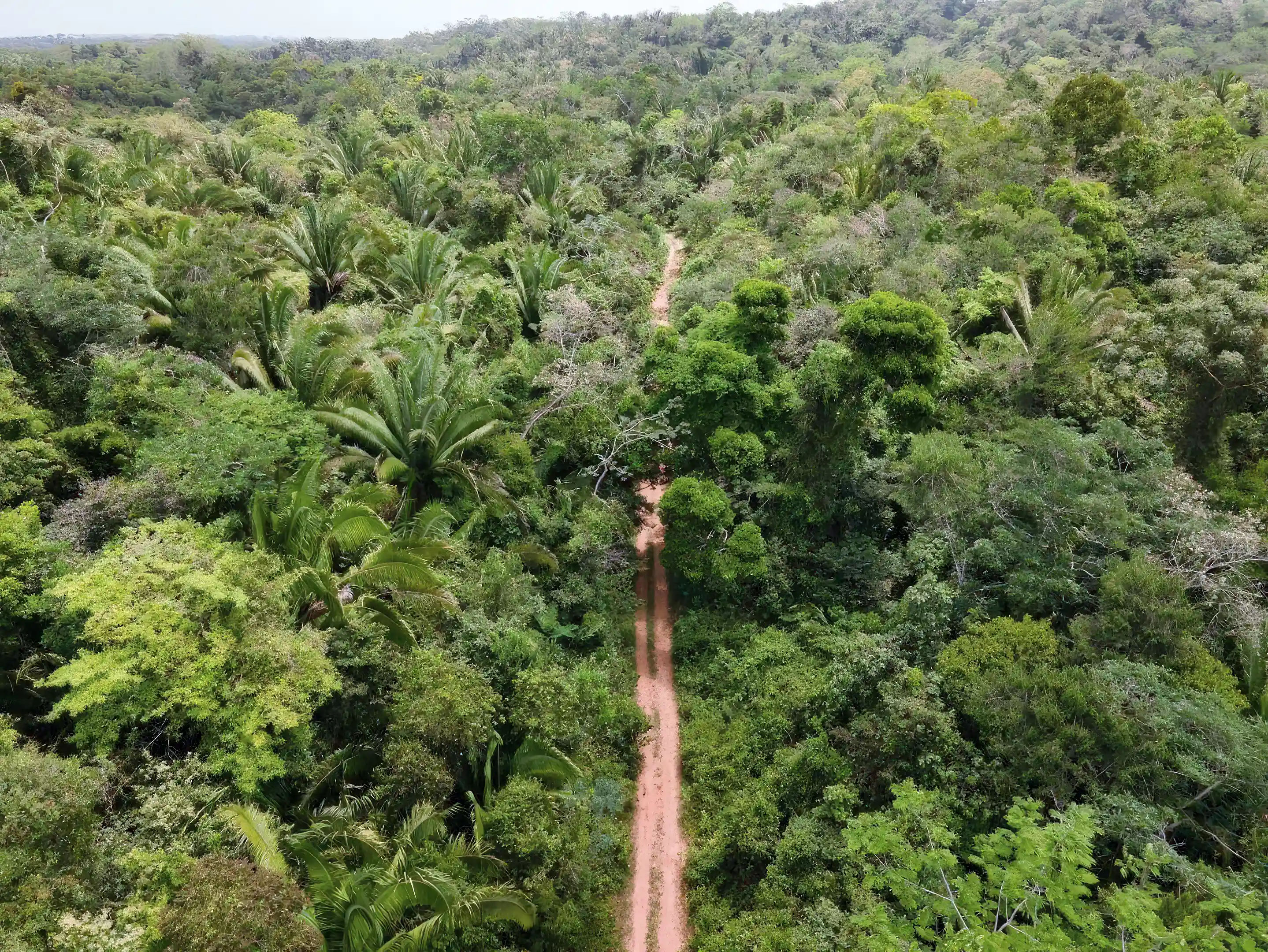 Farm for Sale in Silk Grass, Boccawina, Stann Creek, Belize