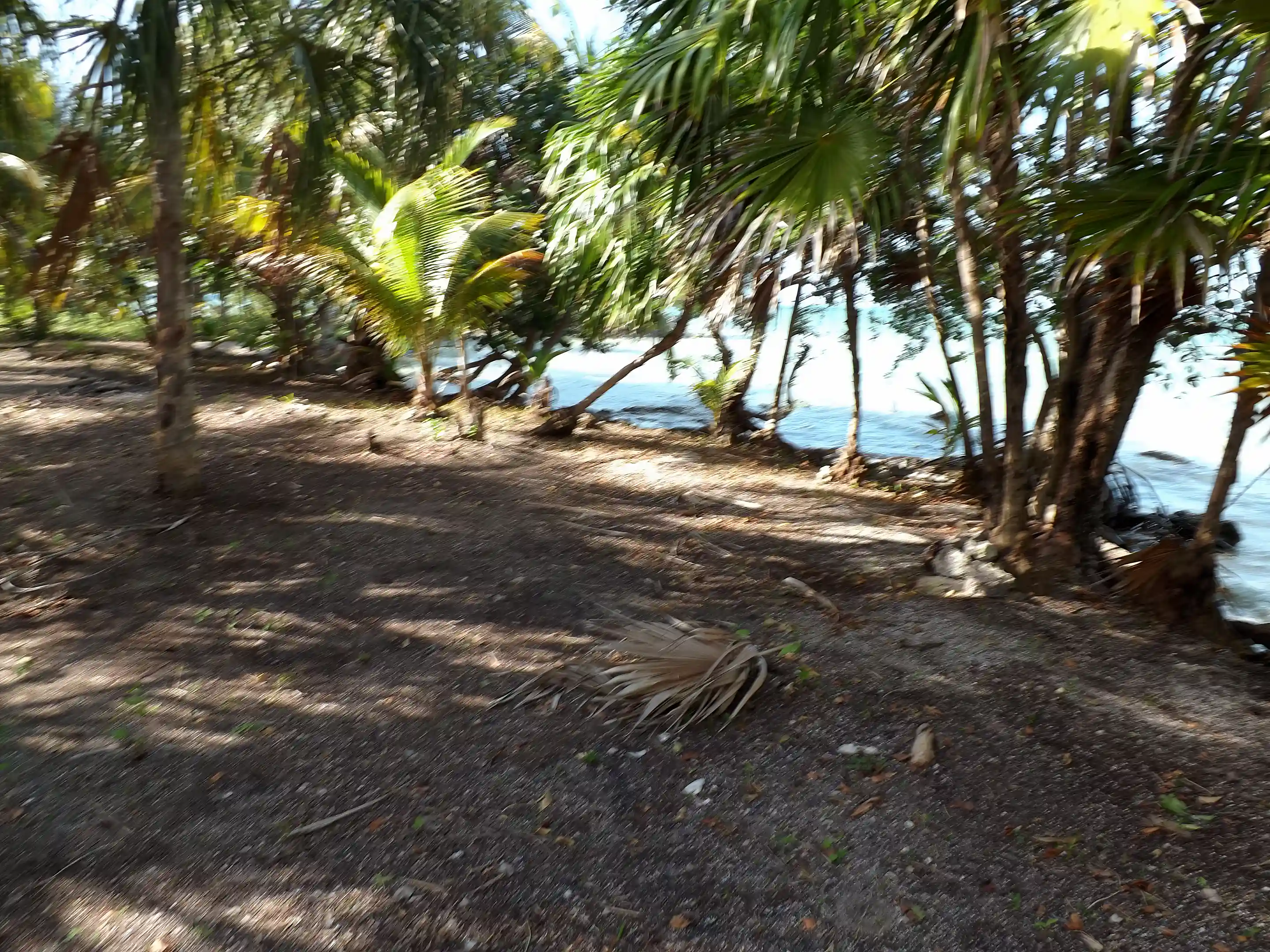 Prime Waterfront Properties for Sale in Sarteneja Village, Corozal, Belize