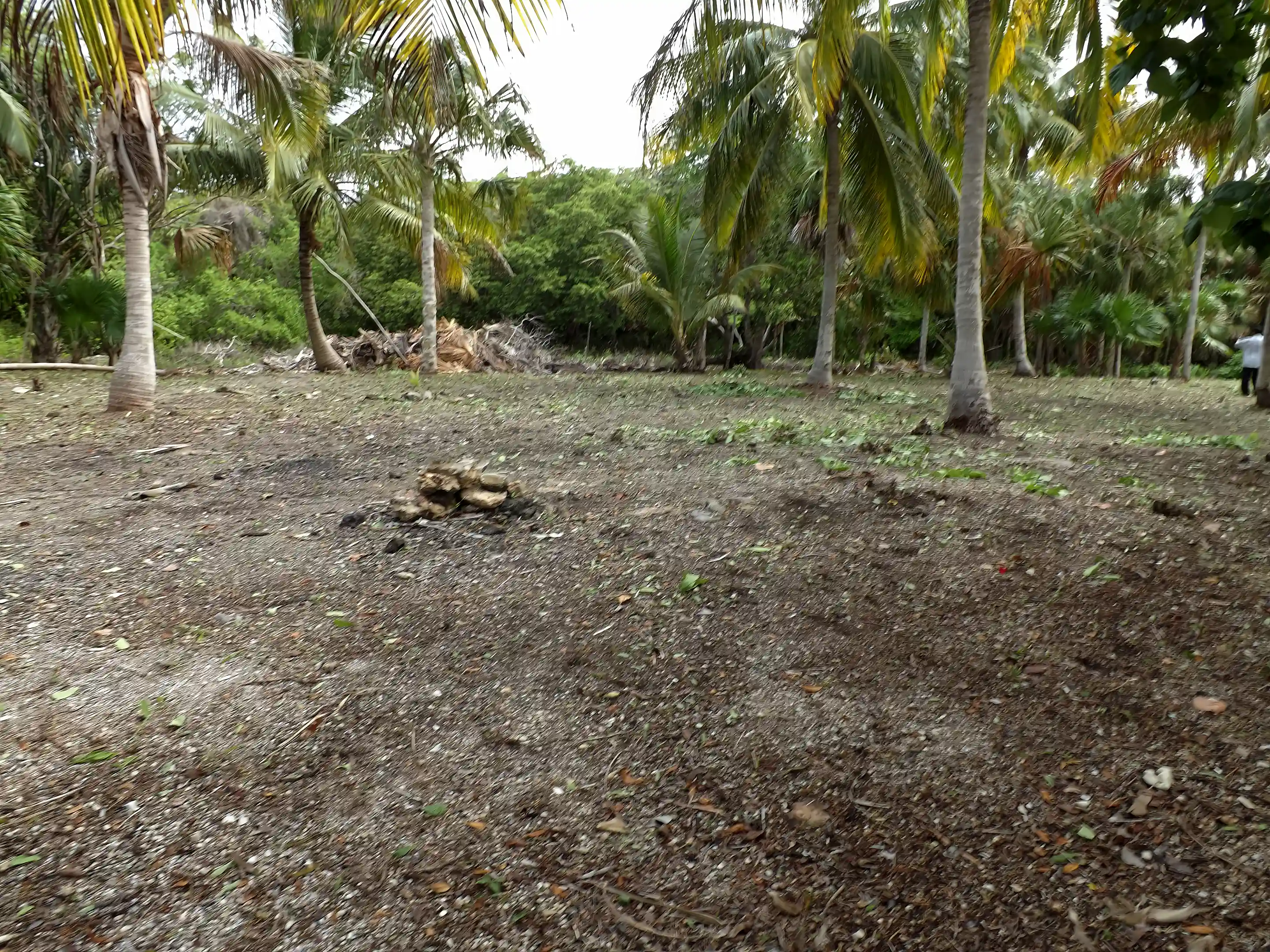 Prime Waterfront Properties for Sale in Sarteneja Village, Corozal, Belize