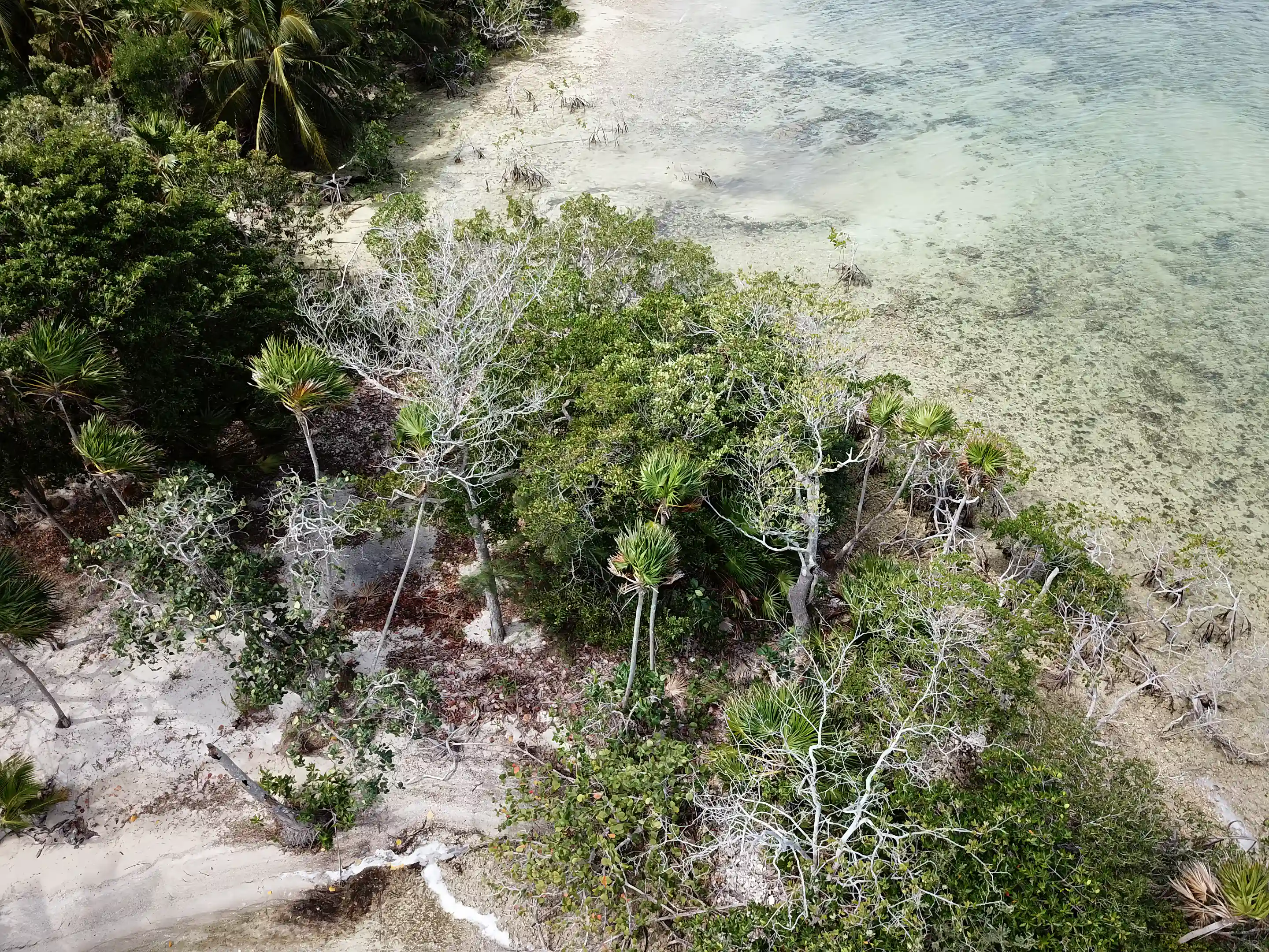 Arial picture of Fernado's Point just 10 minutes by boat...