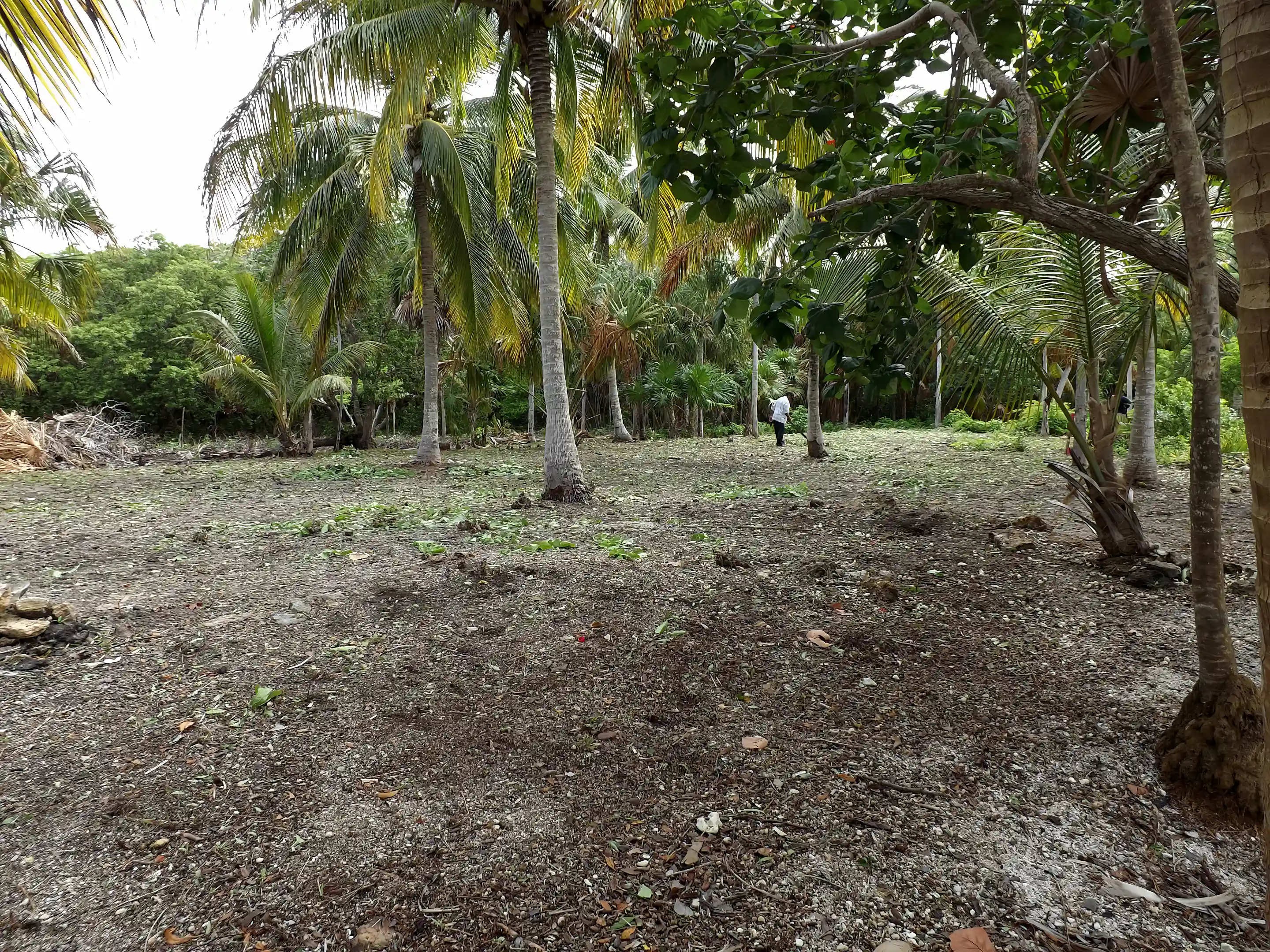 Prime Waterfront Properties for Sale in Sarteneja Village, Corozal, Belize