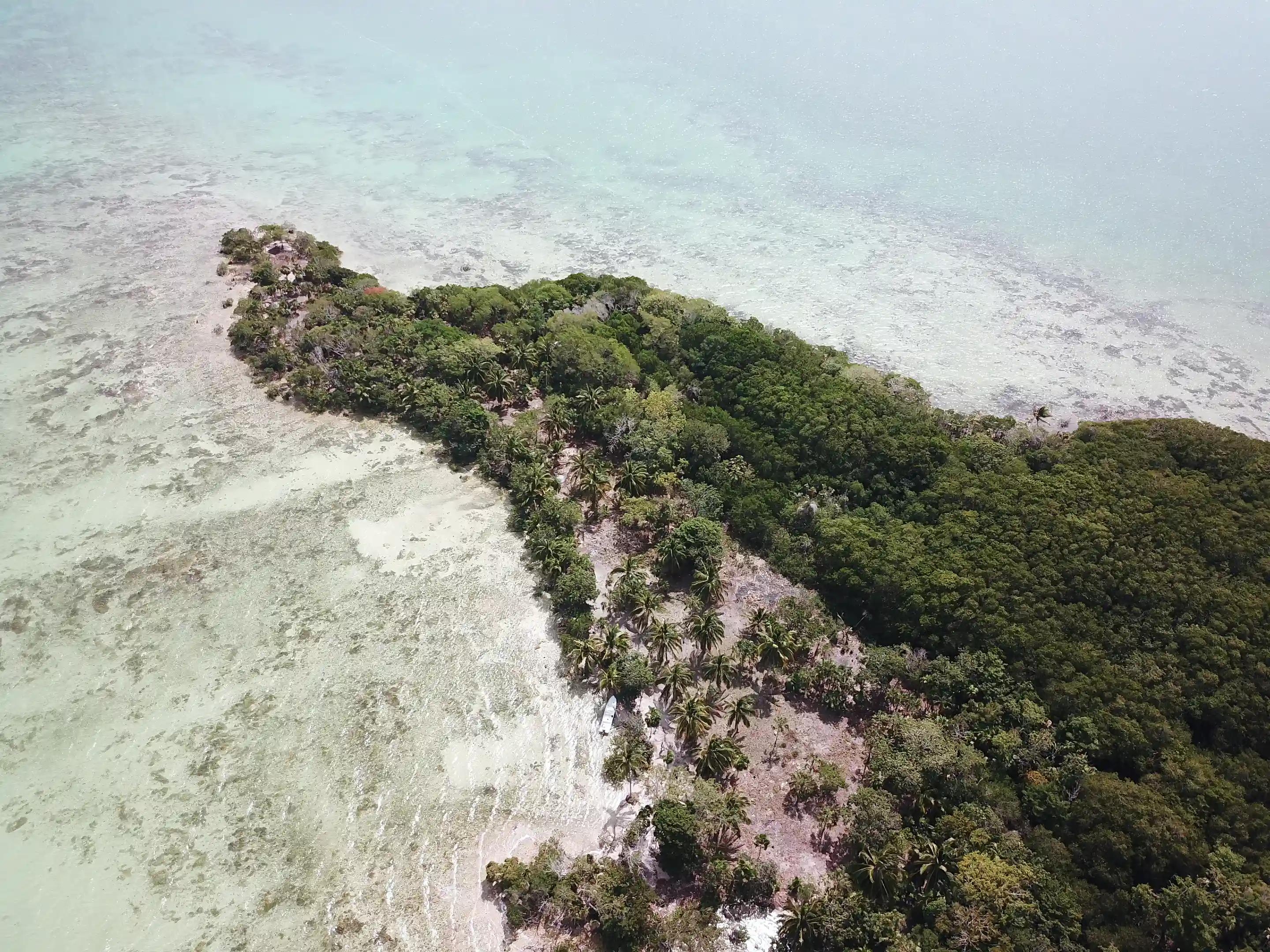 Fernando's Point the "Garden of Eden" just 10 minutes by...