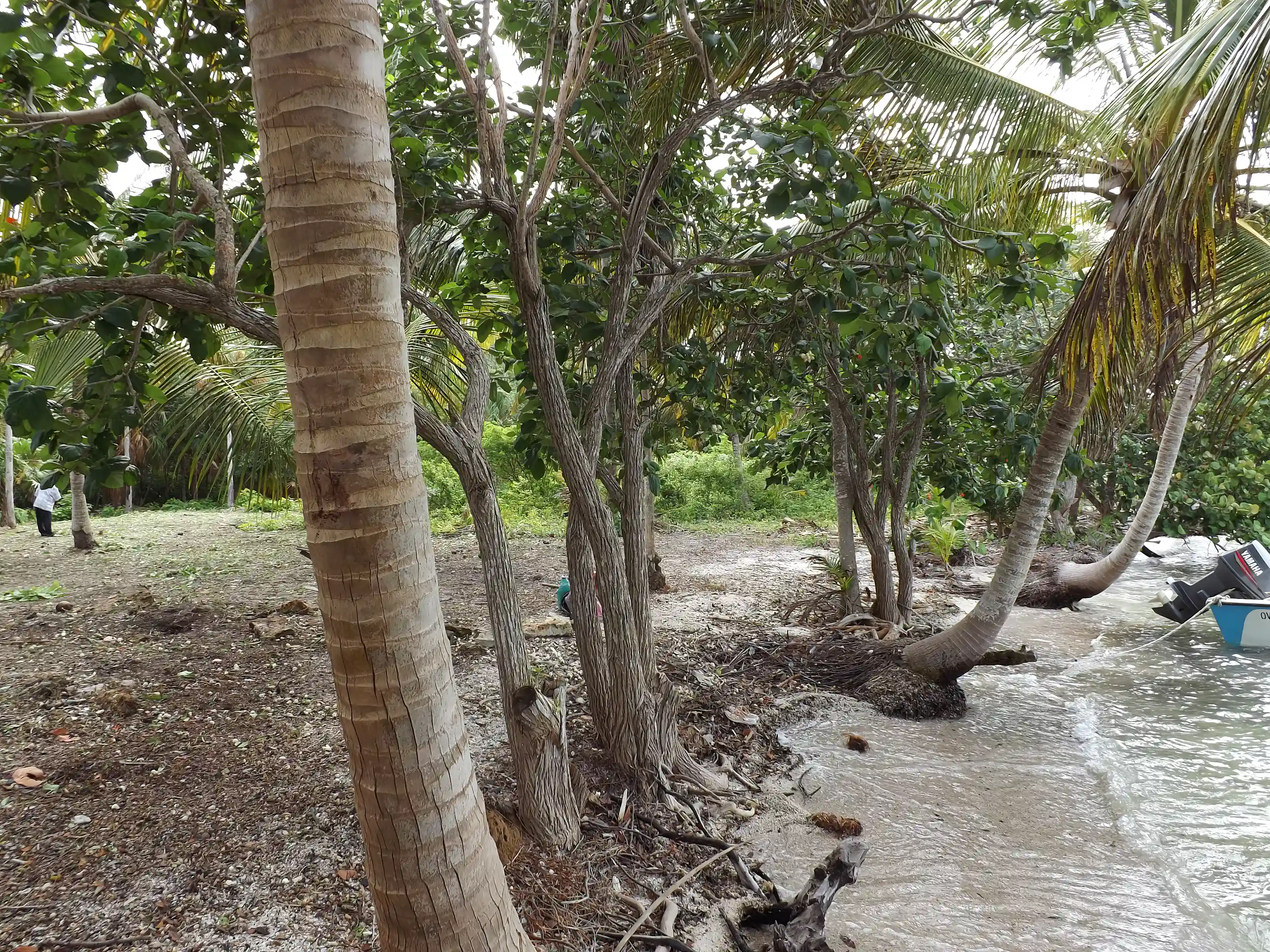 Prime Waterfront Properties for Sale in Sarteneja Village, Corozal, Belize