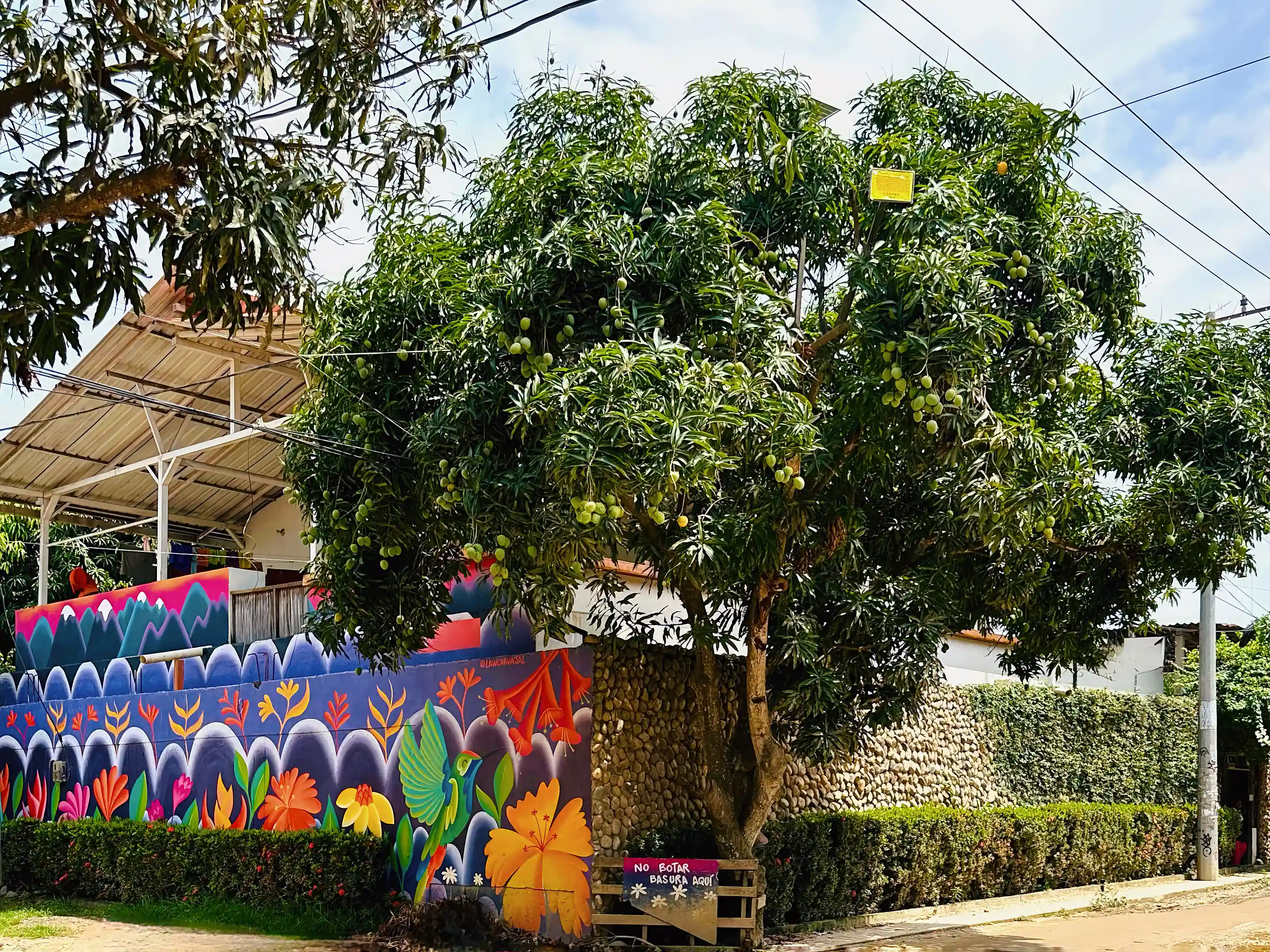 Hostel for Sale in Palomino, Dibulla, La Guajira, Colombia