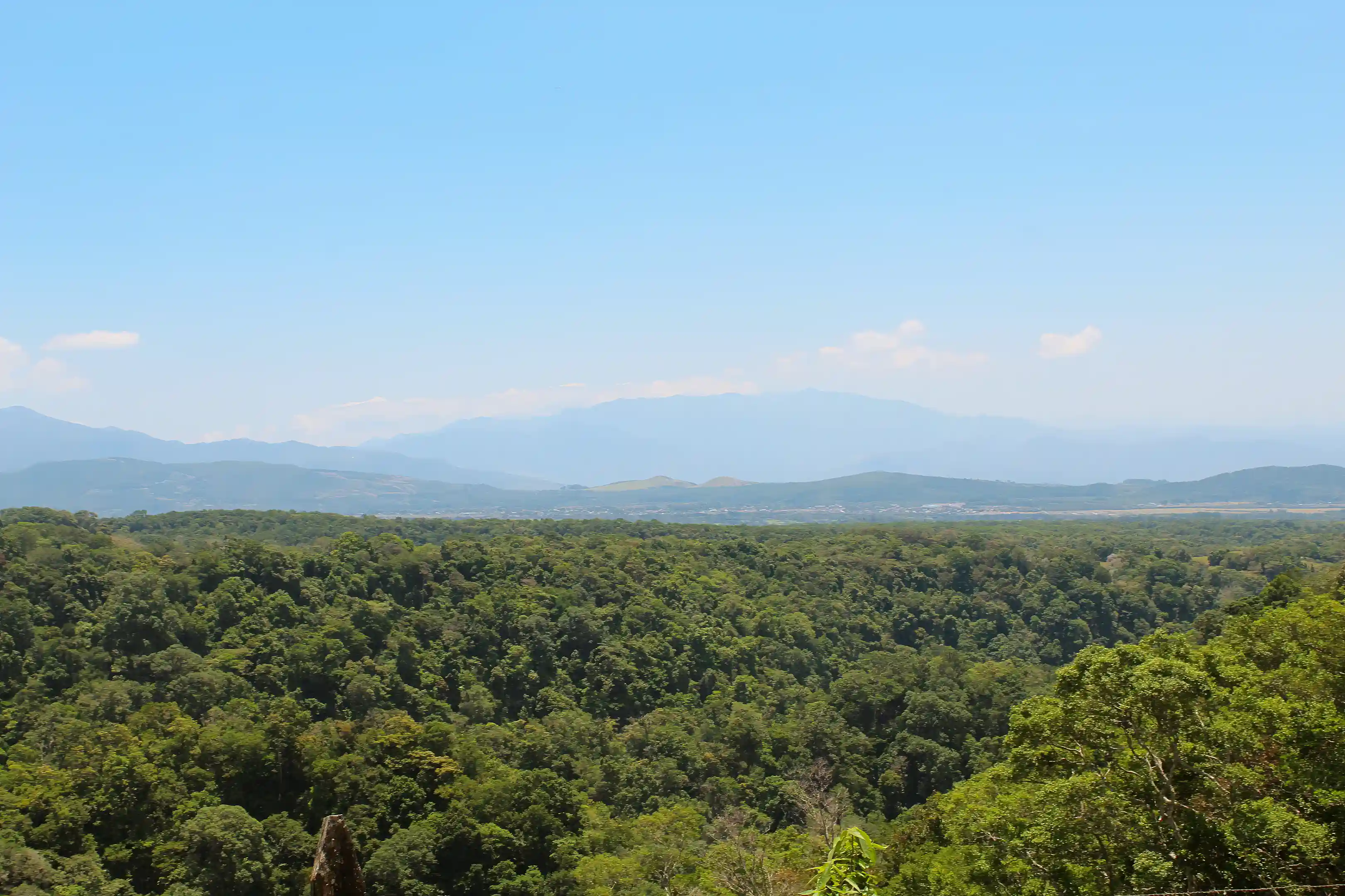 Mountain Farm for Sale in Potrerillos, Dolega, Chiriqui, Panama