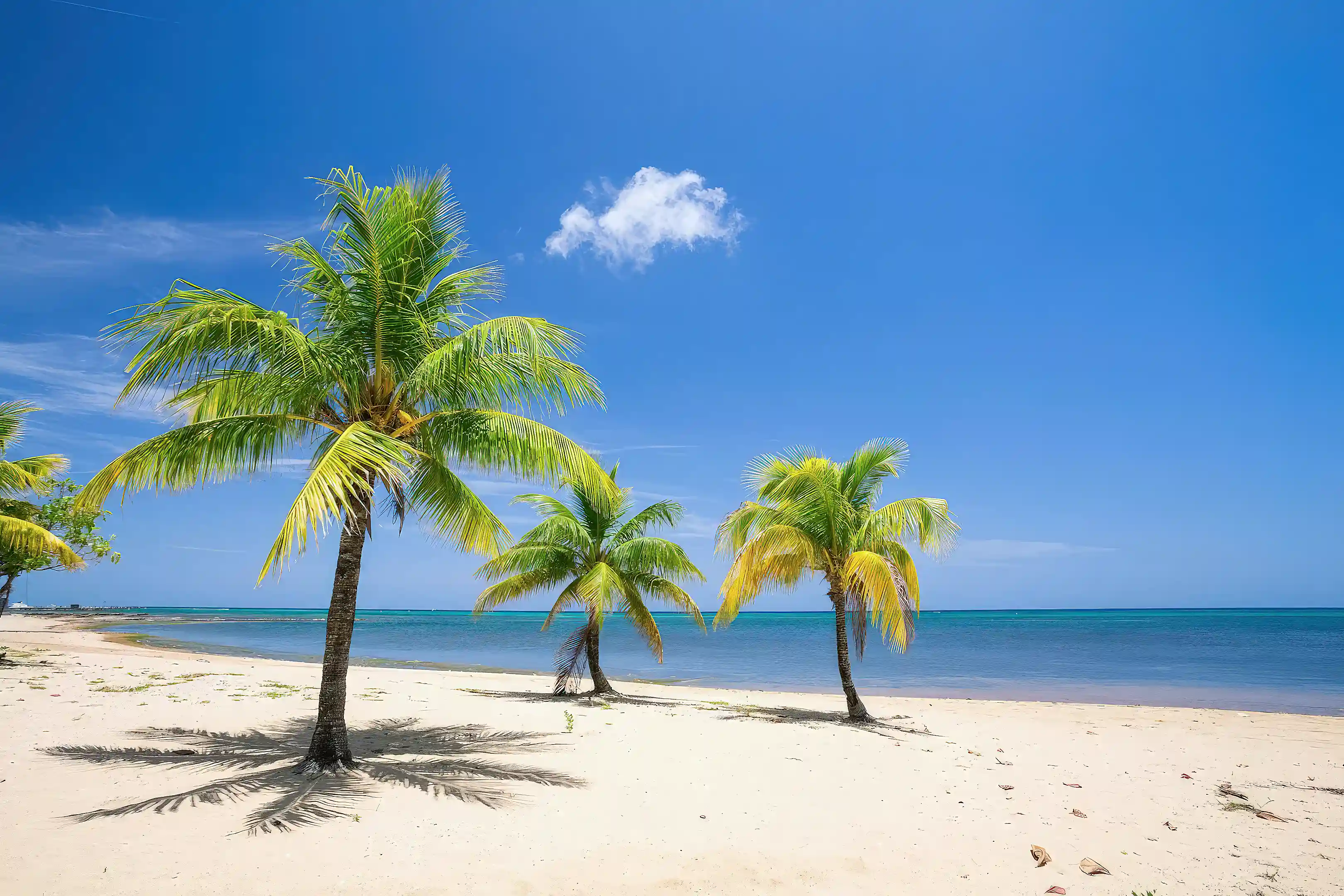 Luxury Beachfront Condo for Sale in Sandy Bay, Lawson Rock, Roatan, Bay ...