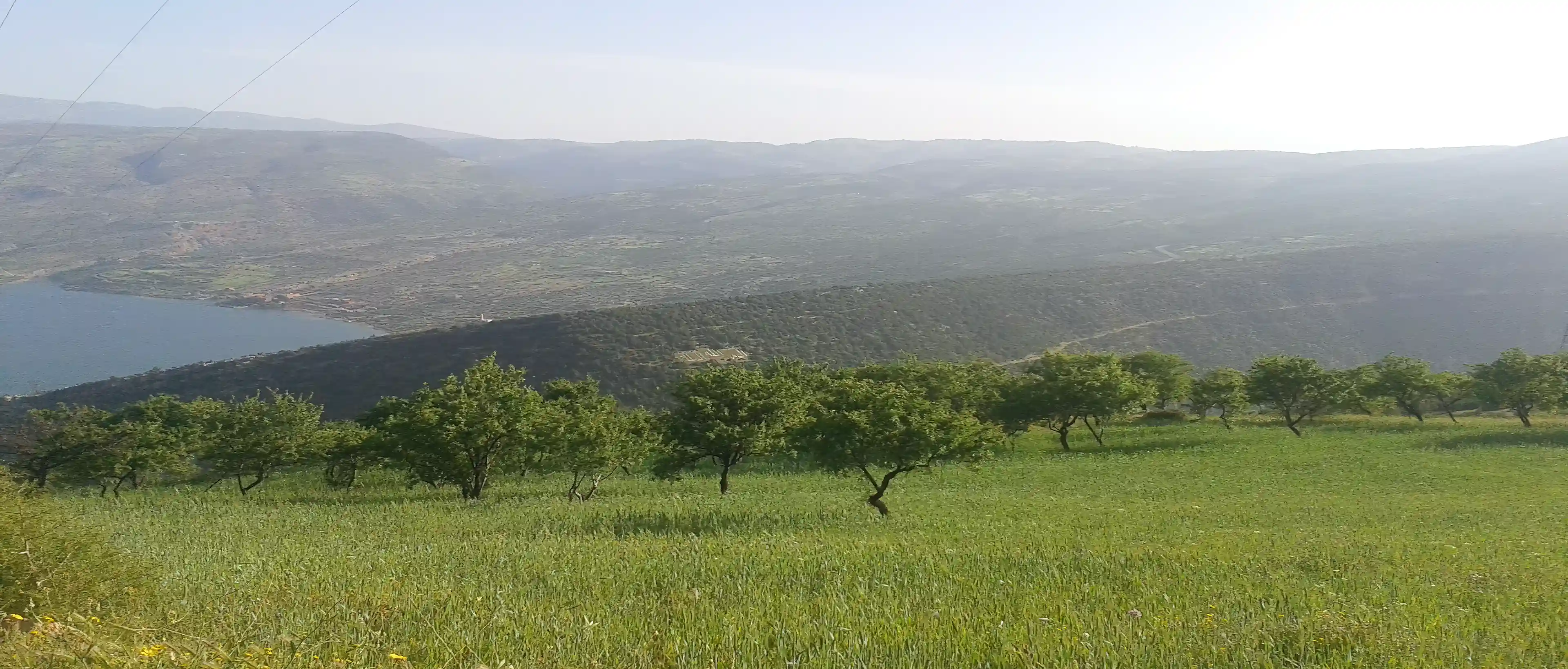 Overview of the center piece of the land from the...