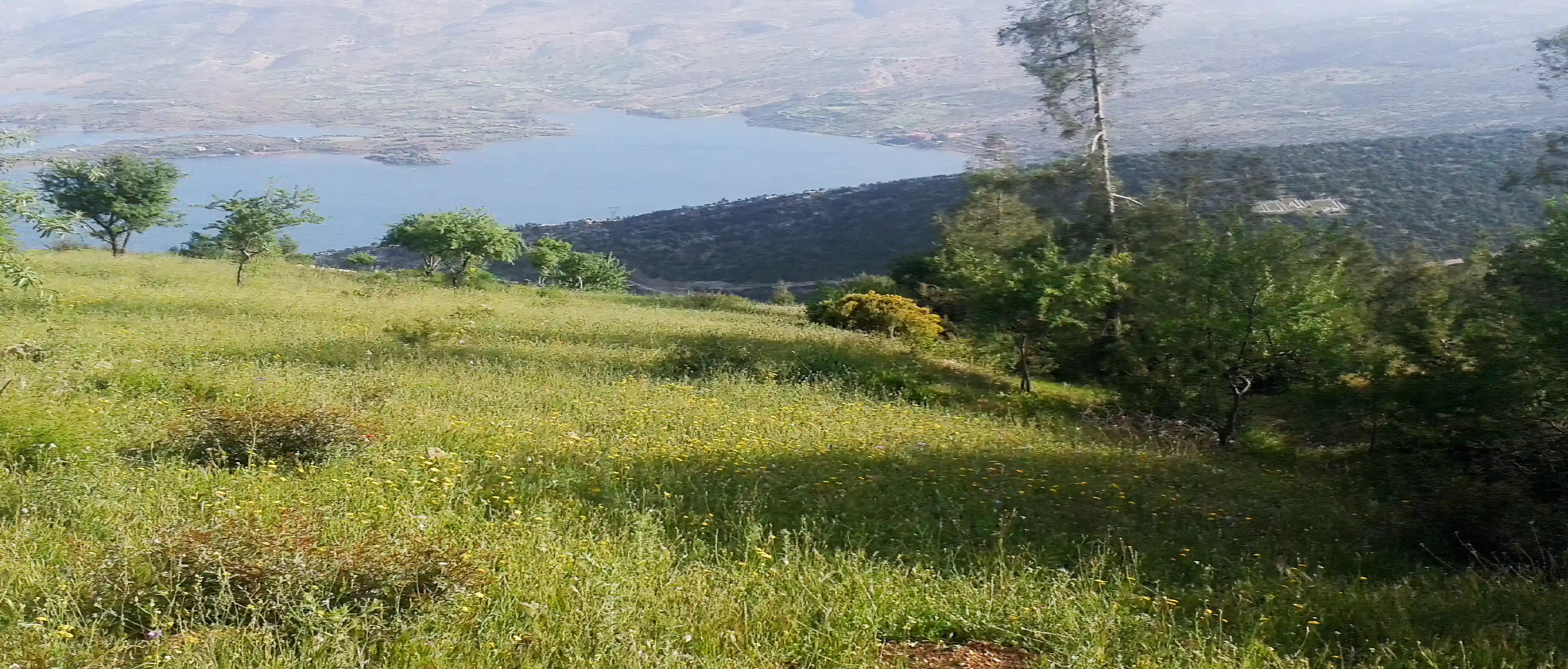 Far right side of the land