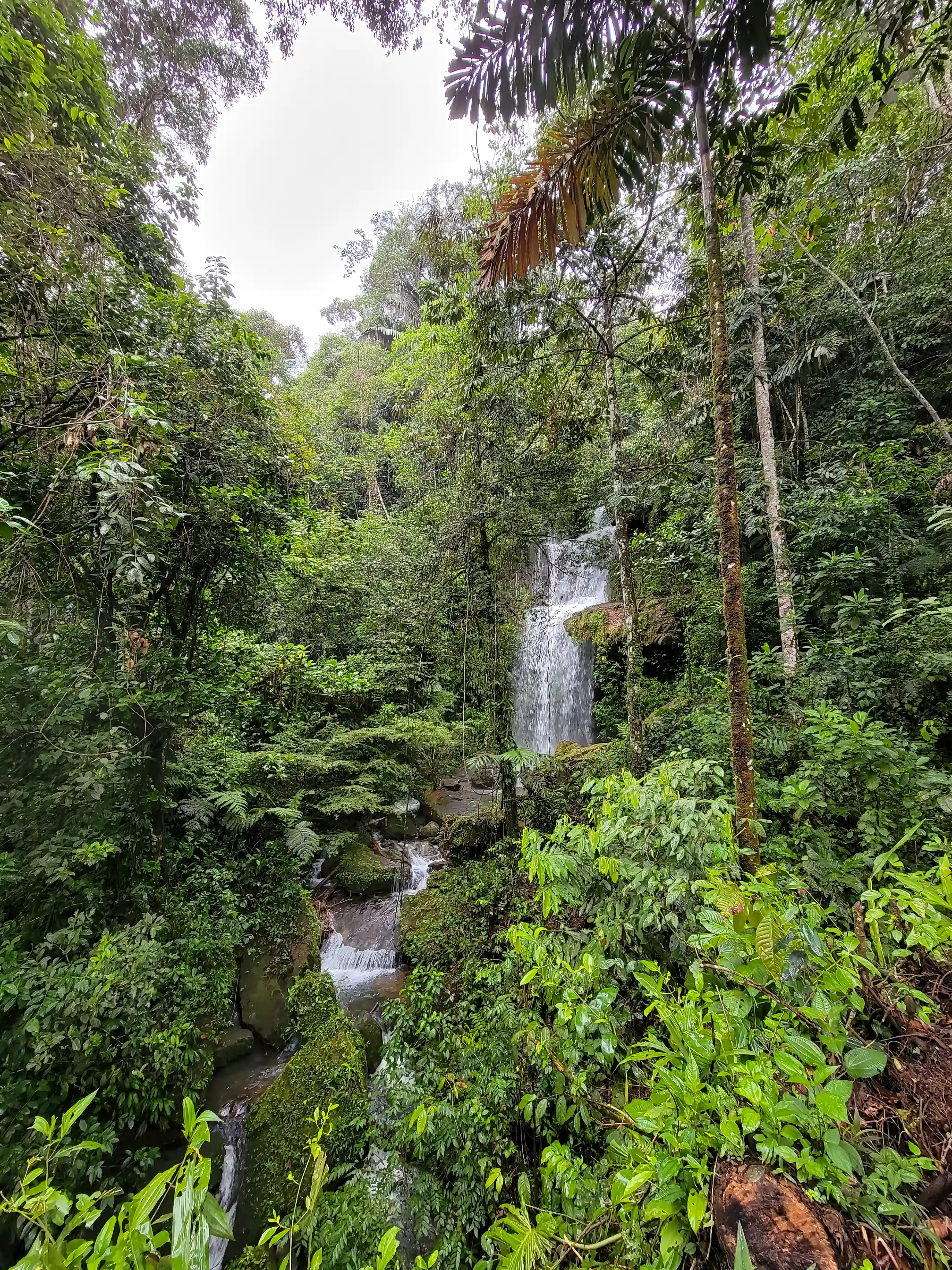 Rainforest Finca for Sale in San Jose del Pepino, Mocoa, Putumayo, Colombia