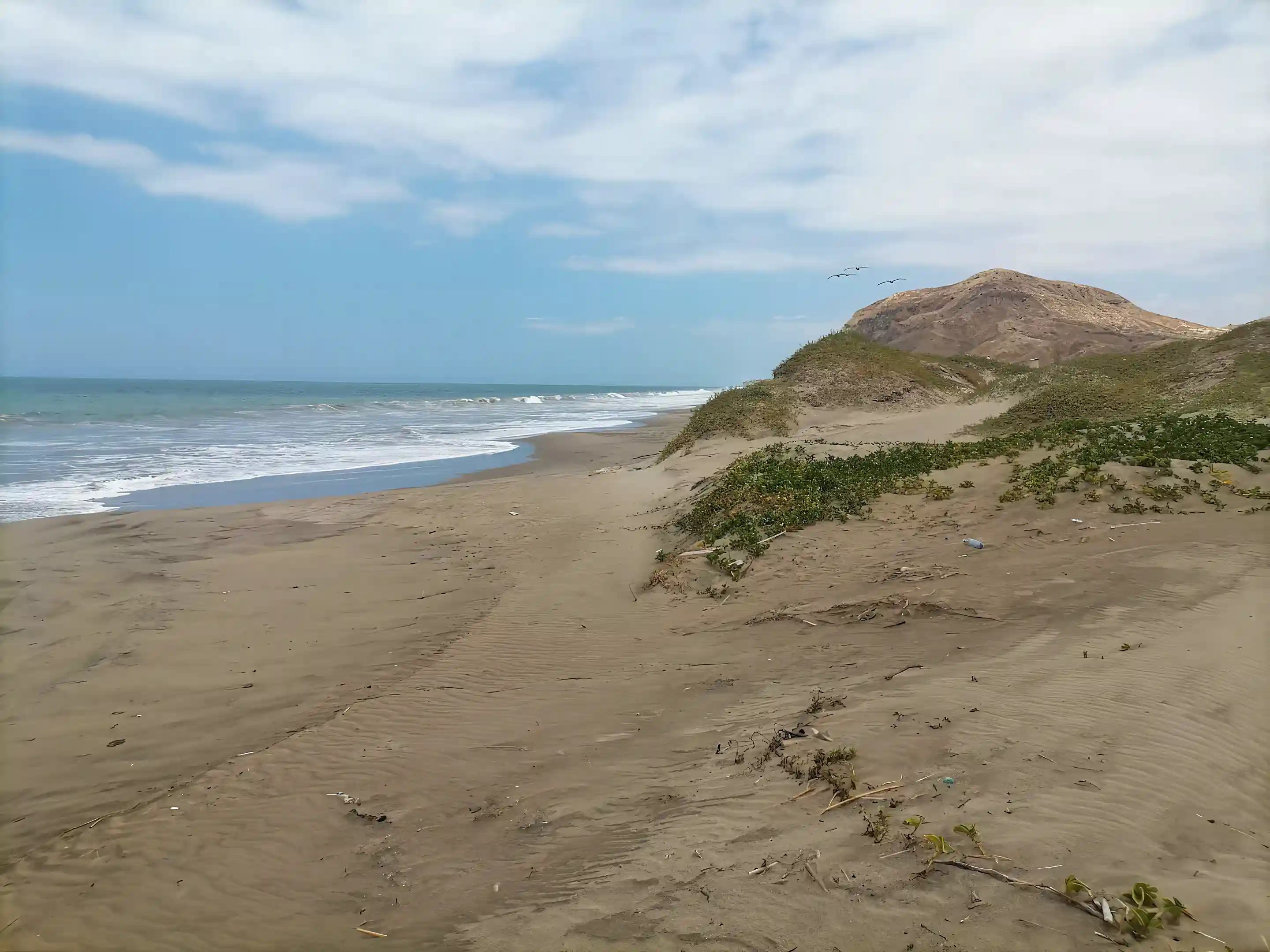 Beach Front Property for Sale in Gated, Secured and Private, Ñuro, Los Organos, Talara, Piura, Peru