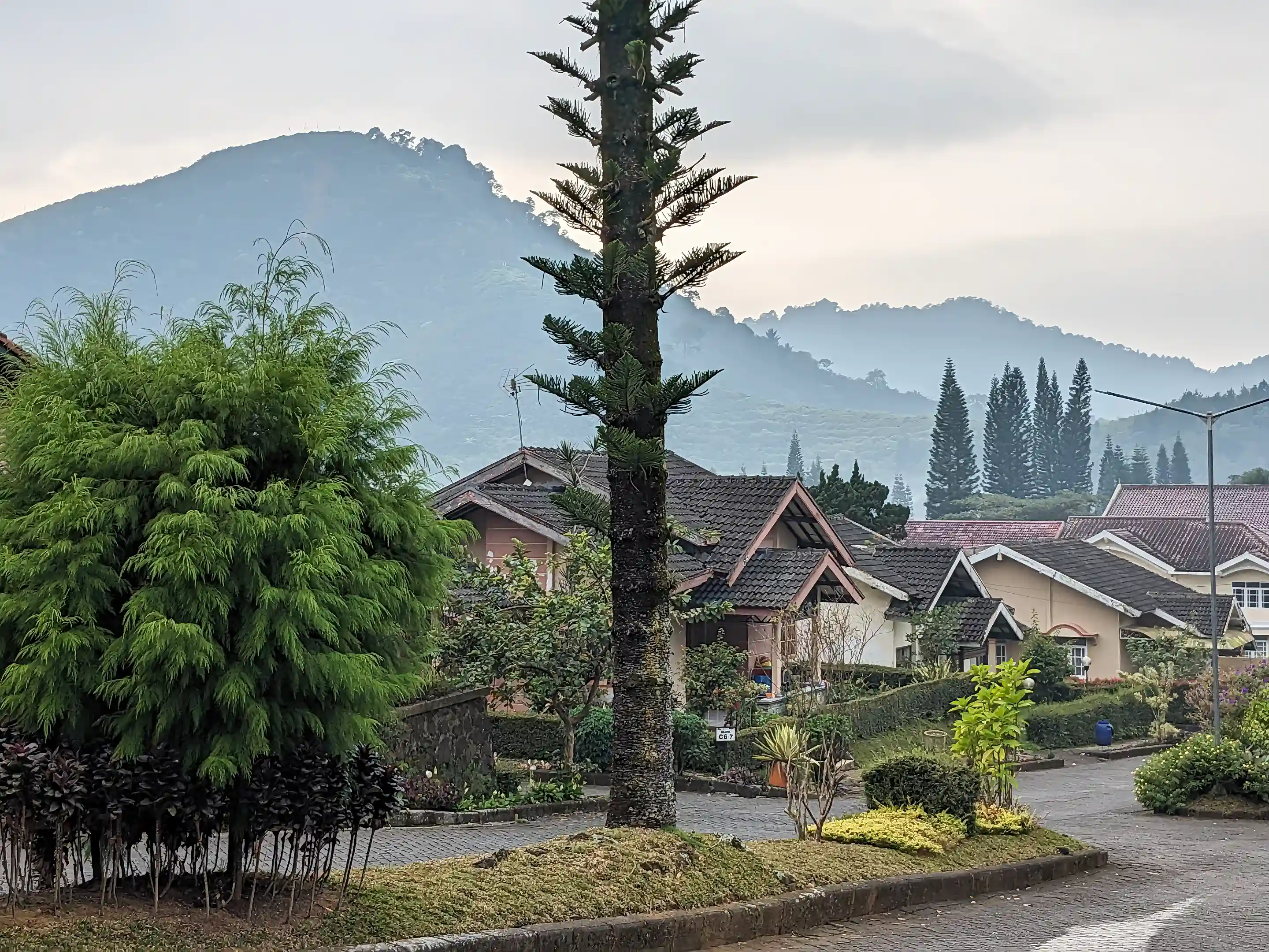 The neighborhood view