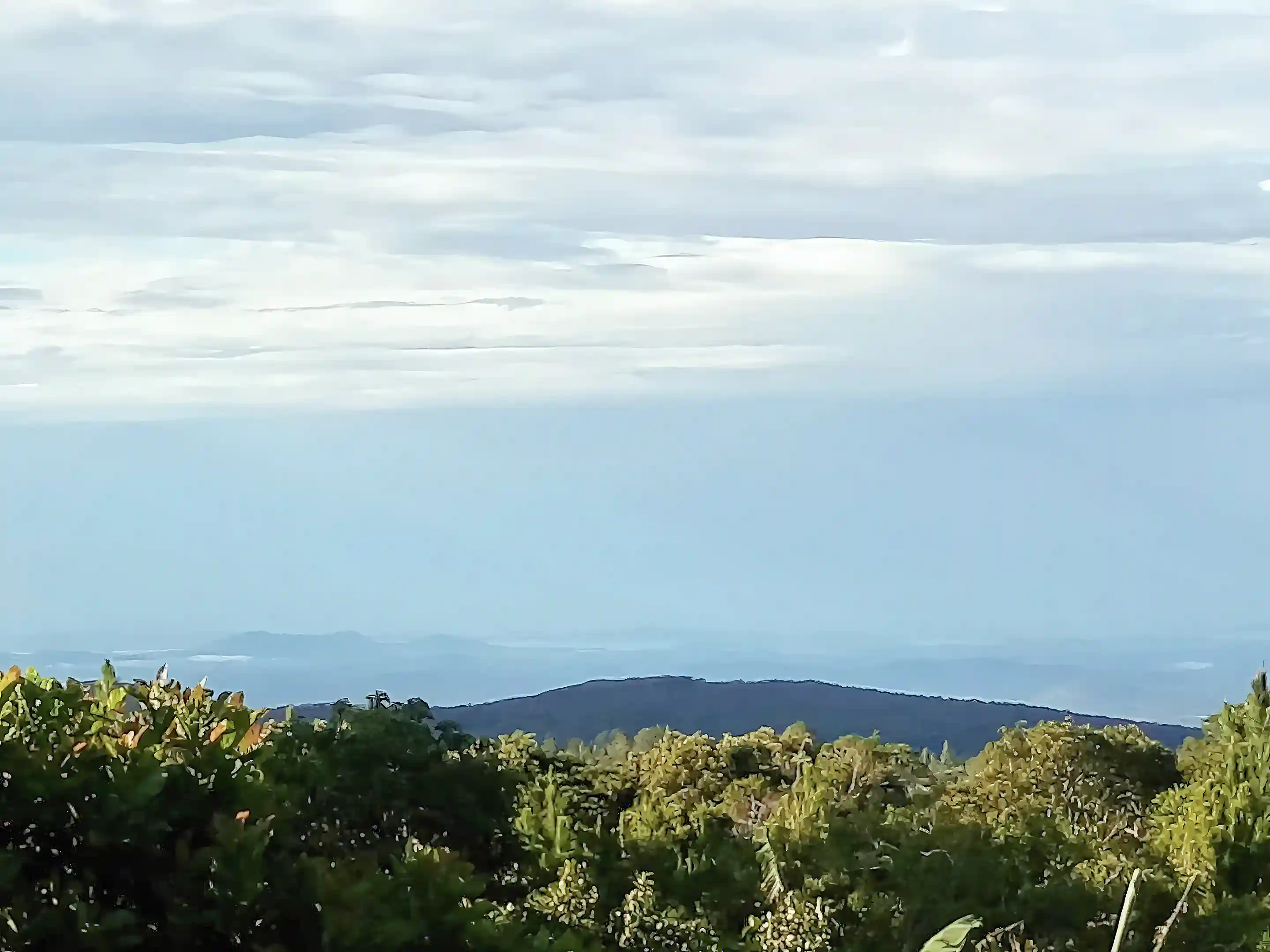 View from the balcony