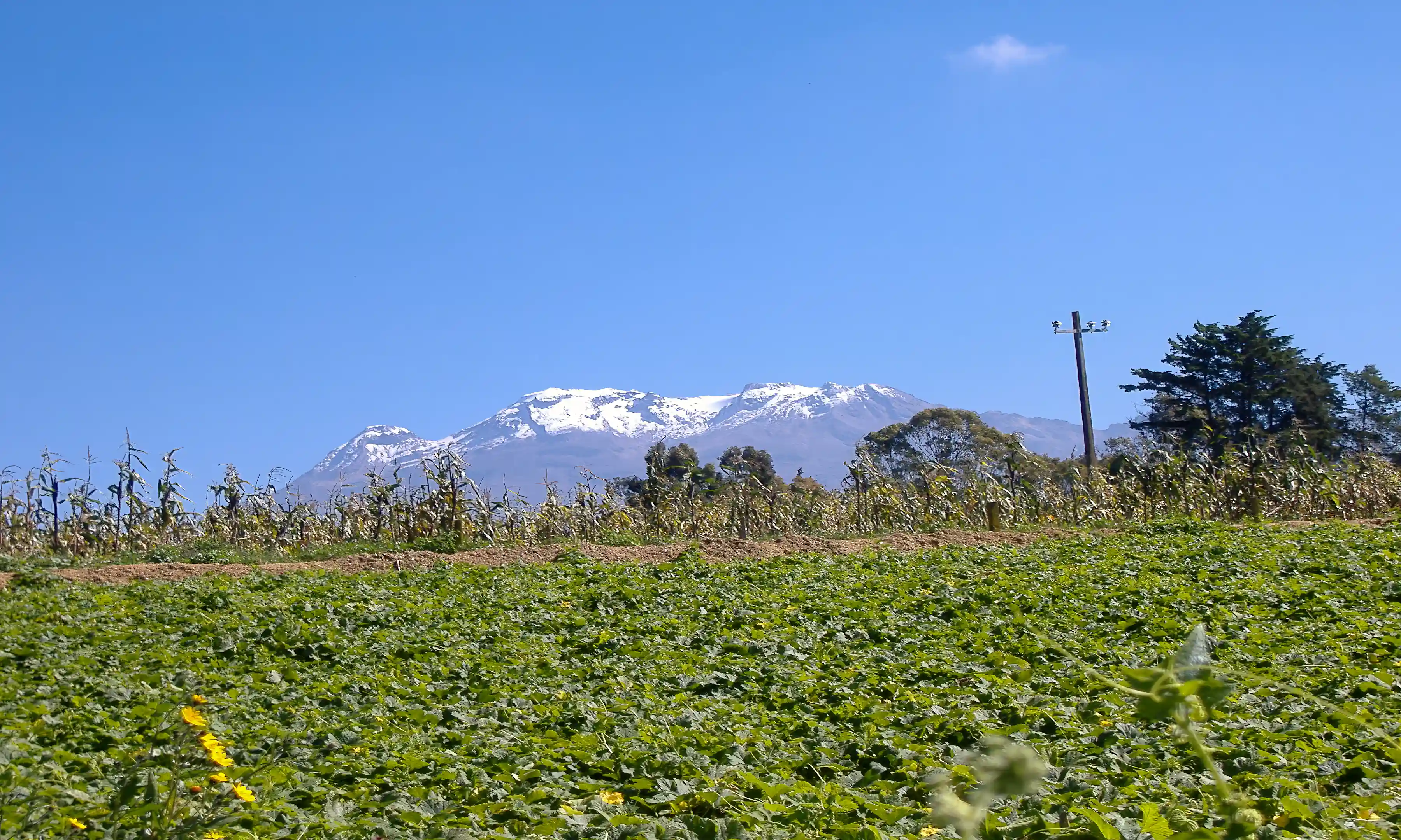 Real Estate Opportunity for Sale in Popo Park, Amecameca, Mexico