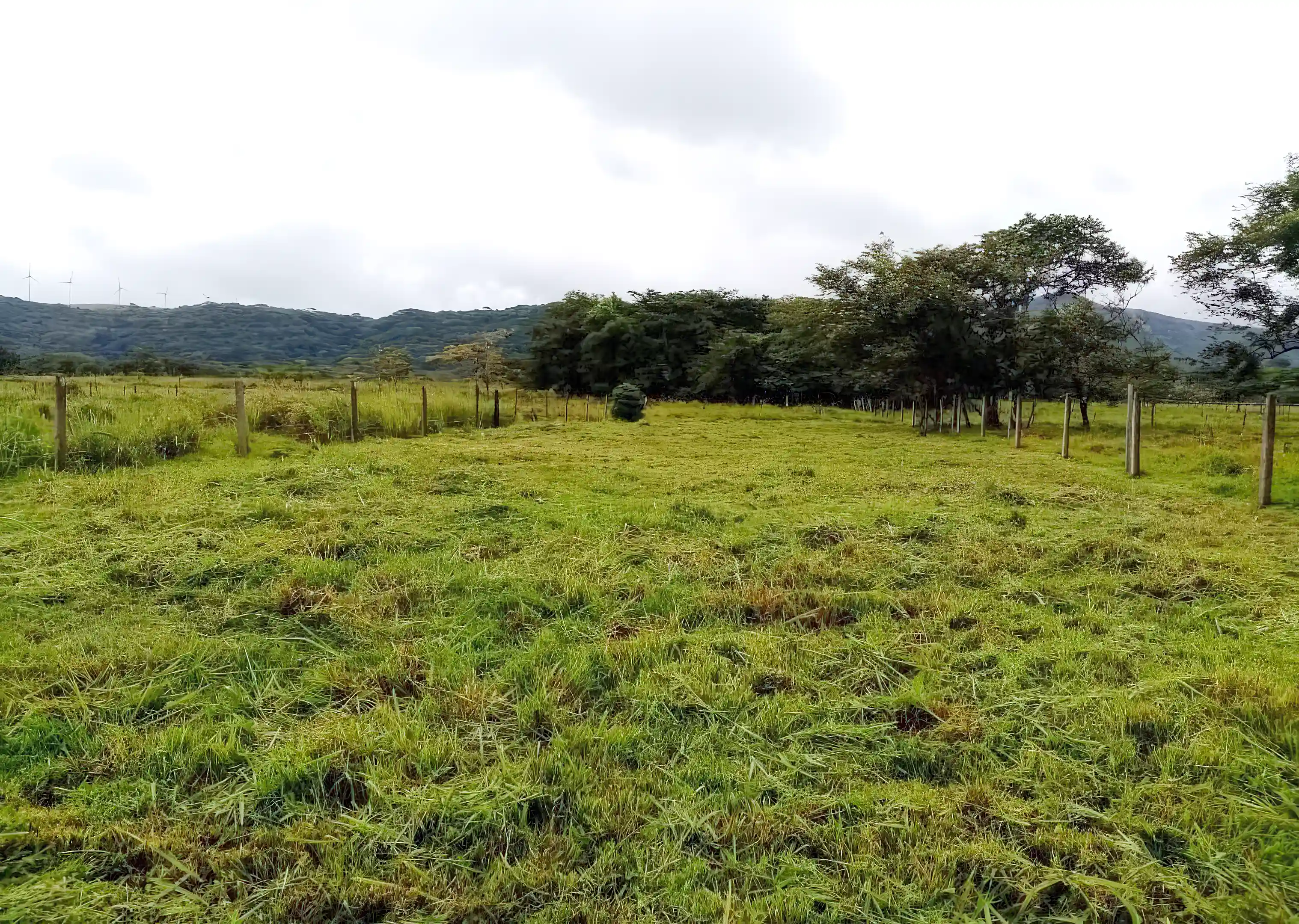 Lot for Sale in Guayabo, La Fortuna, Bagaces, Guanacaste, Costa Rica