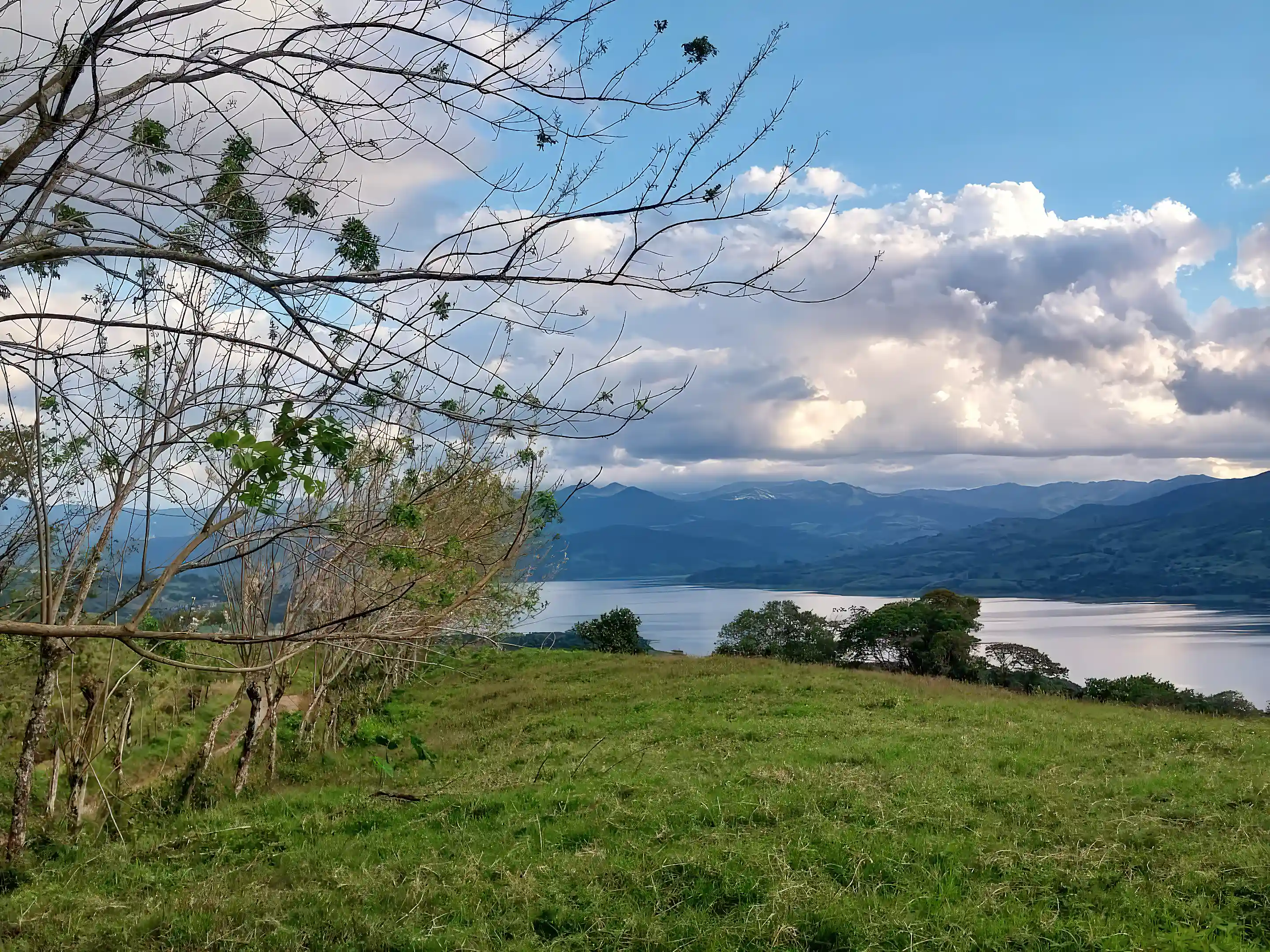 Fence bord of the lot with view to lake