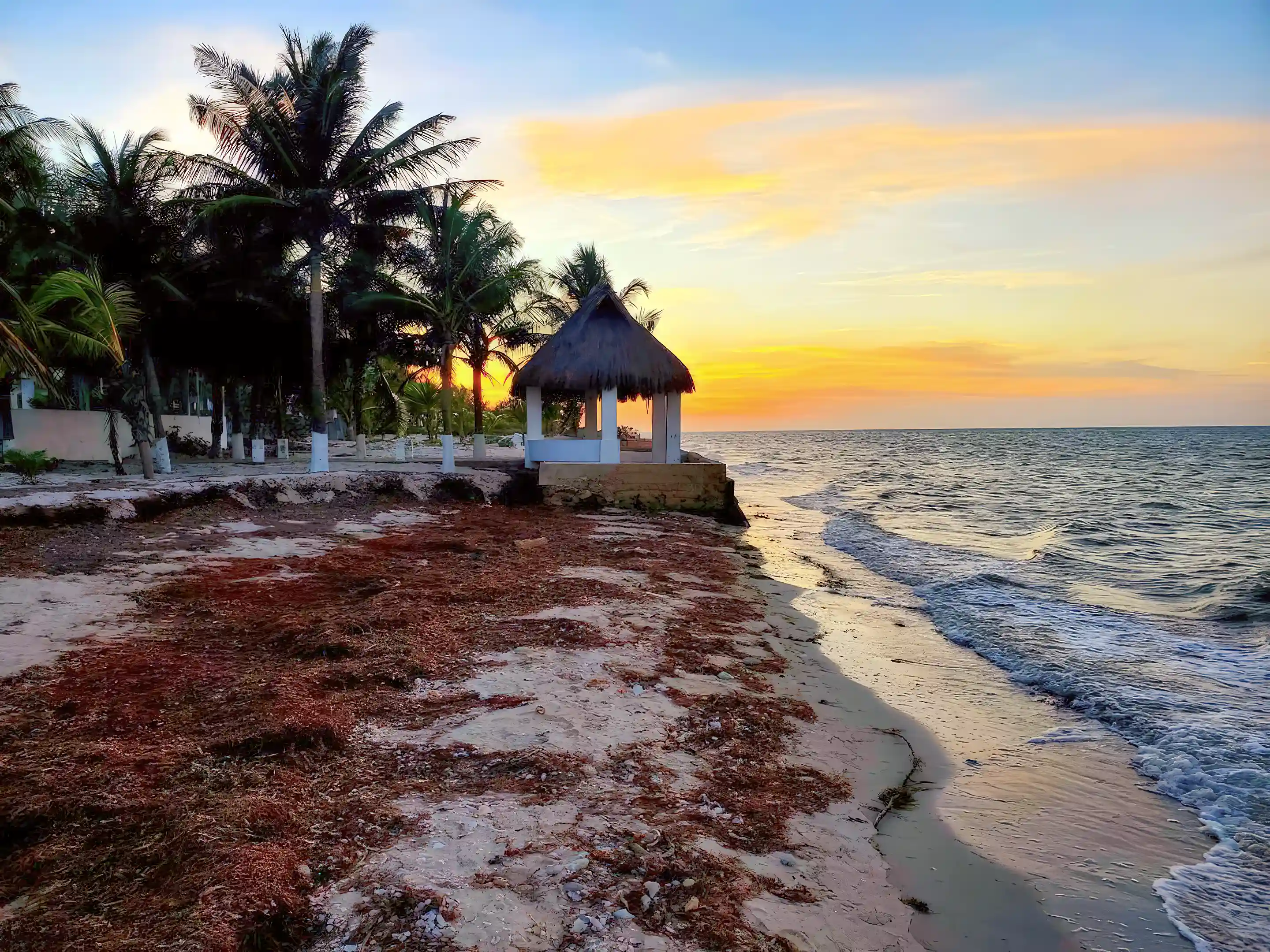 Apartments for Sale and Rent in Sinanche, Yucatan, Mexico
