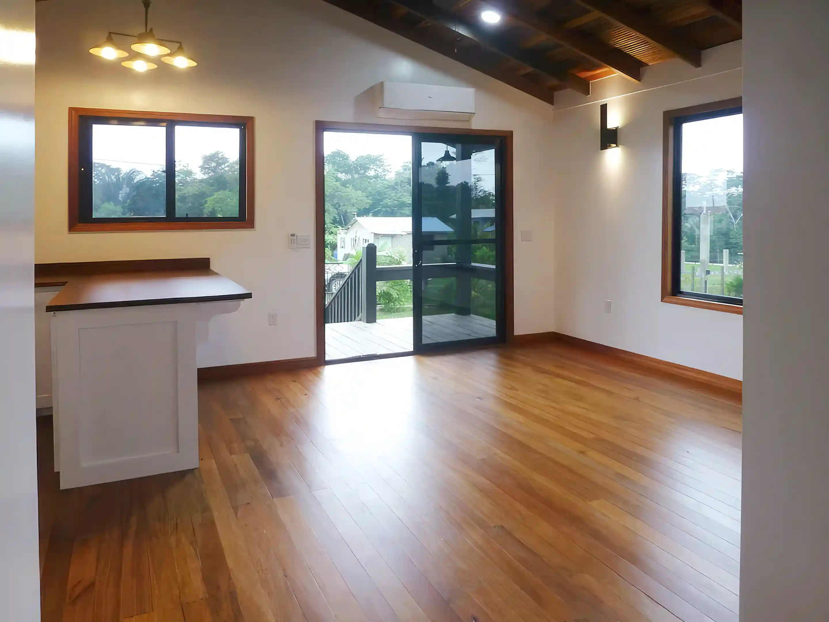Entrance and Livingroom