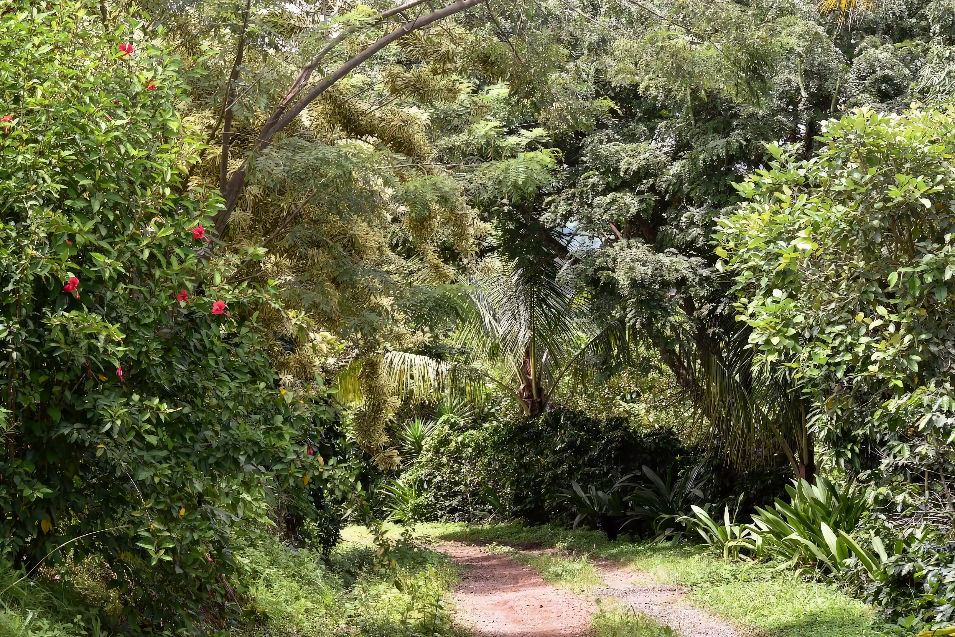 driveway to house