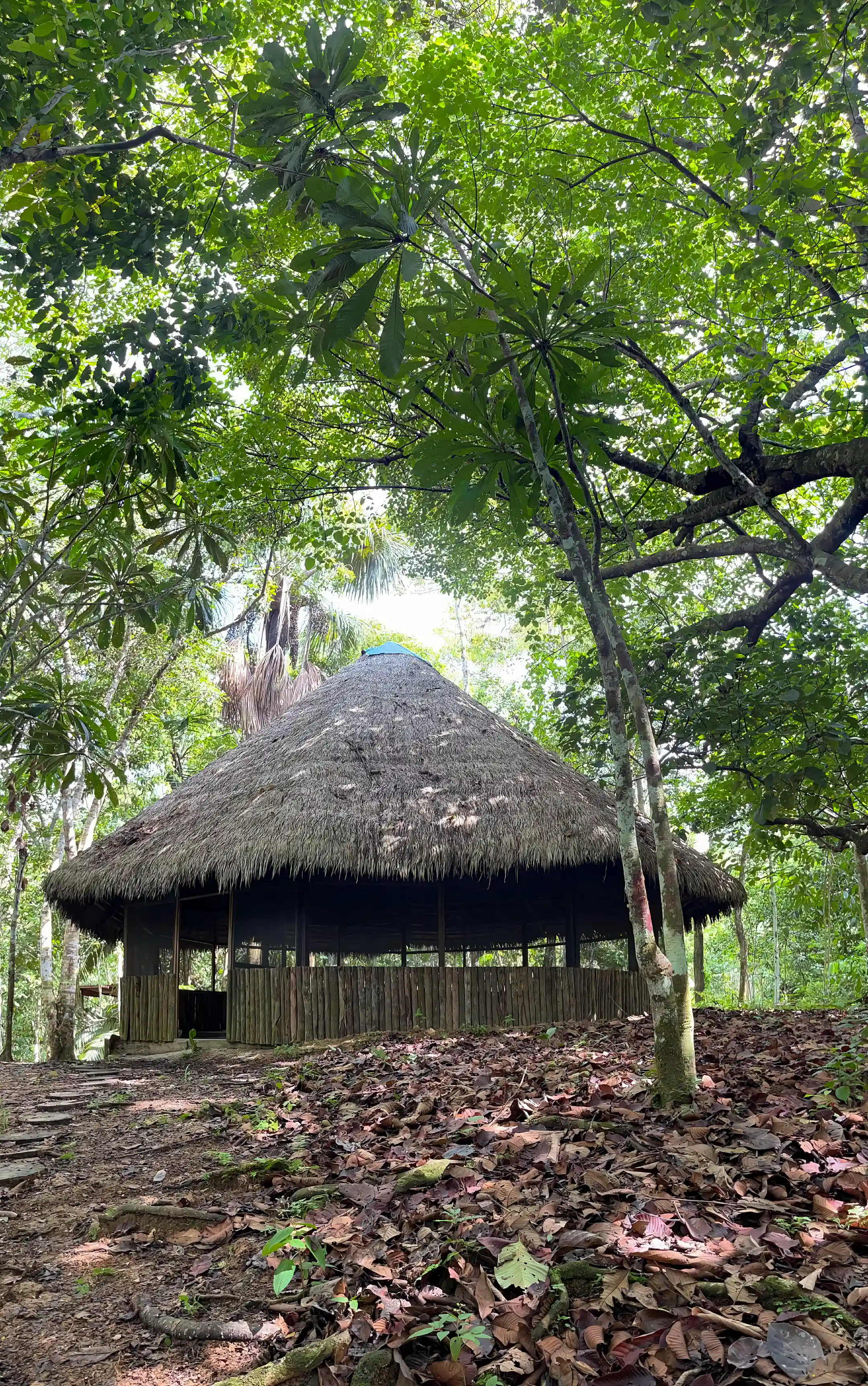 Ayahuasca Lodge for Sale in No Street, San Pedro, San Juan Bautista, Maynas, Loreto, Peru