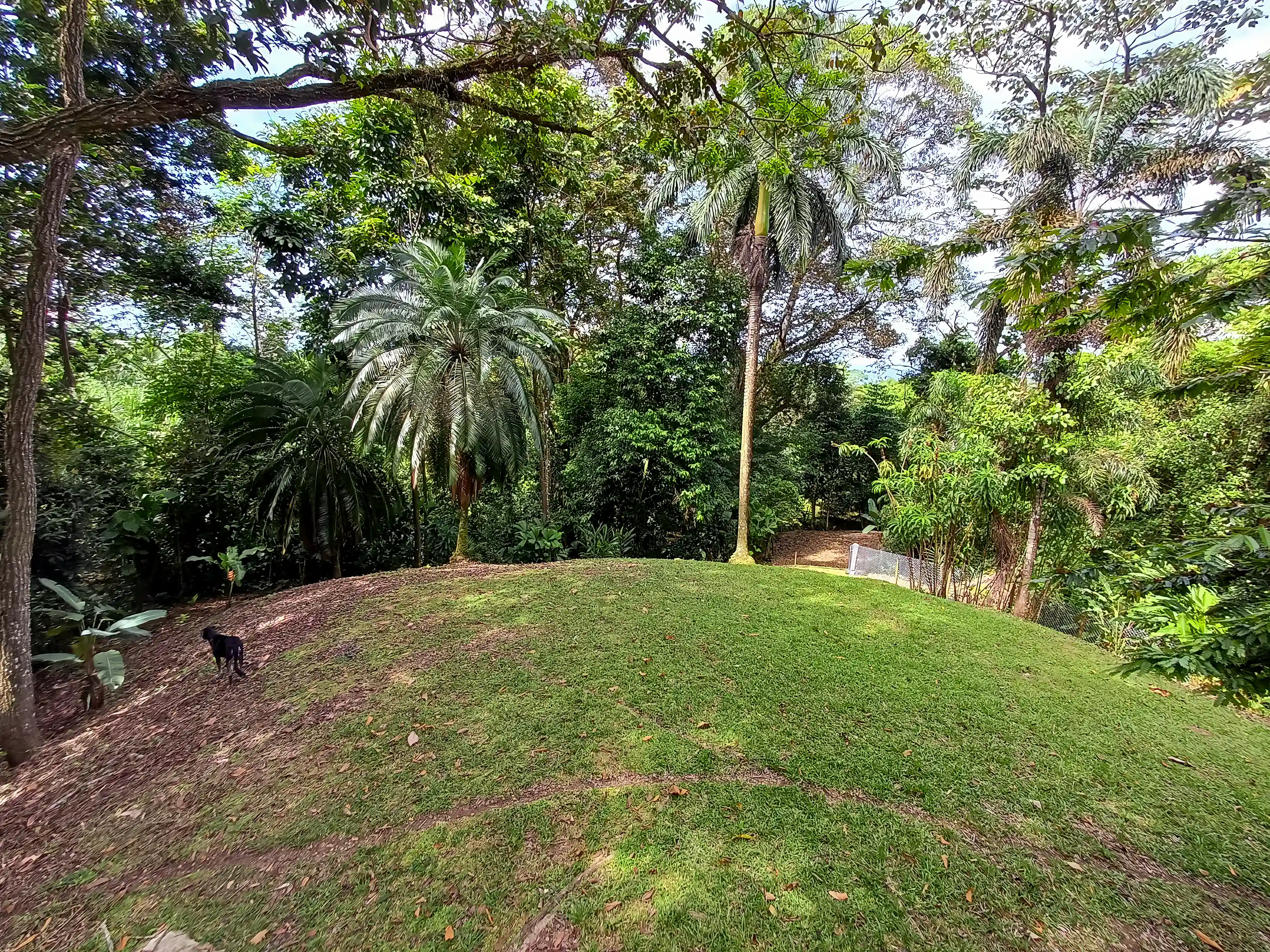 Hilltop Lot for Sale in Bocas, Isla Colon, Bocas del Toro, Panama