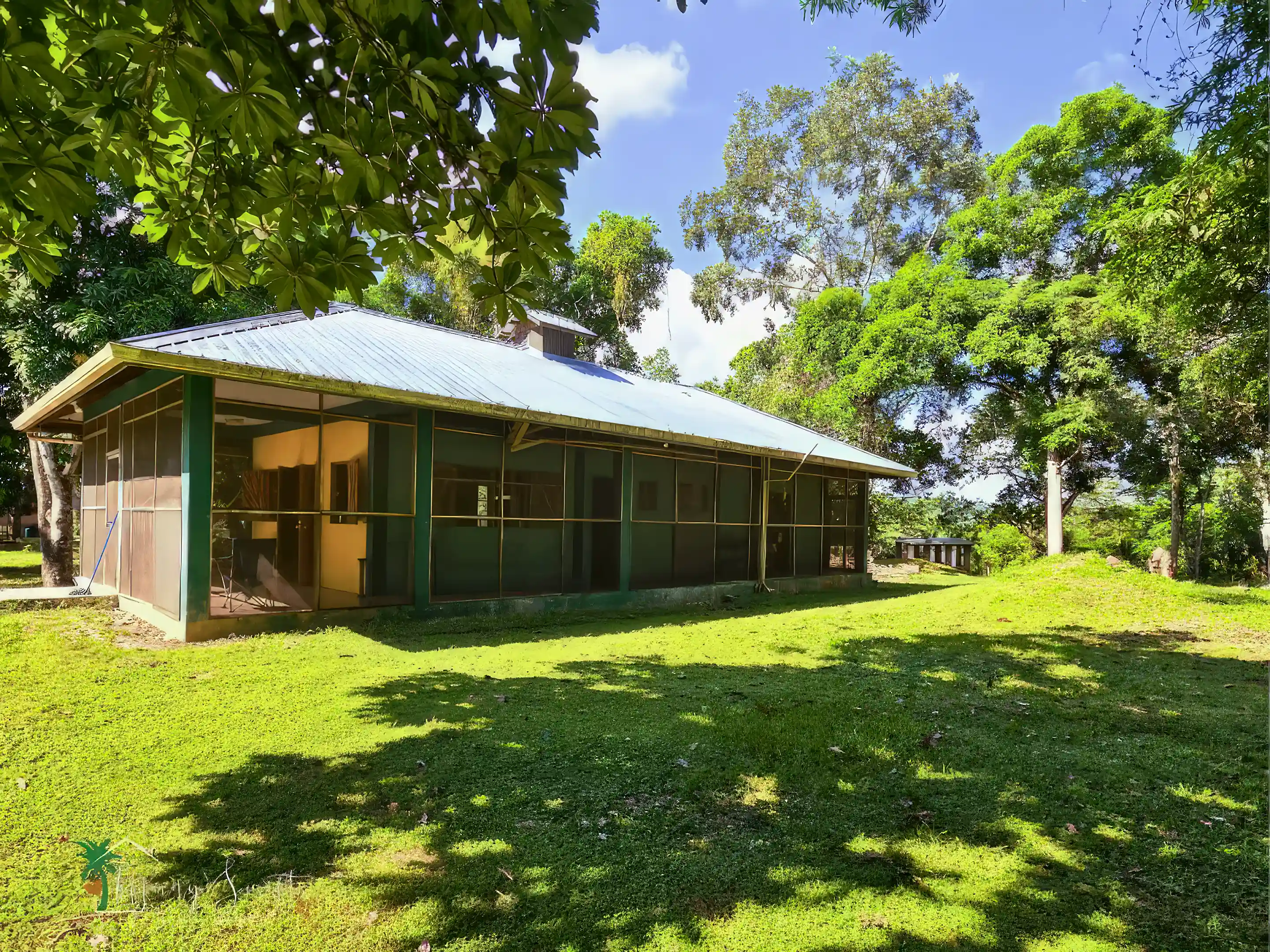 Five-Acre Mango Farm for Sale in Succotz Village, Mountain Pine Ridge, San Ignacio, Cayo, Belize
