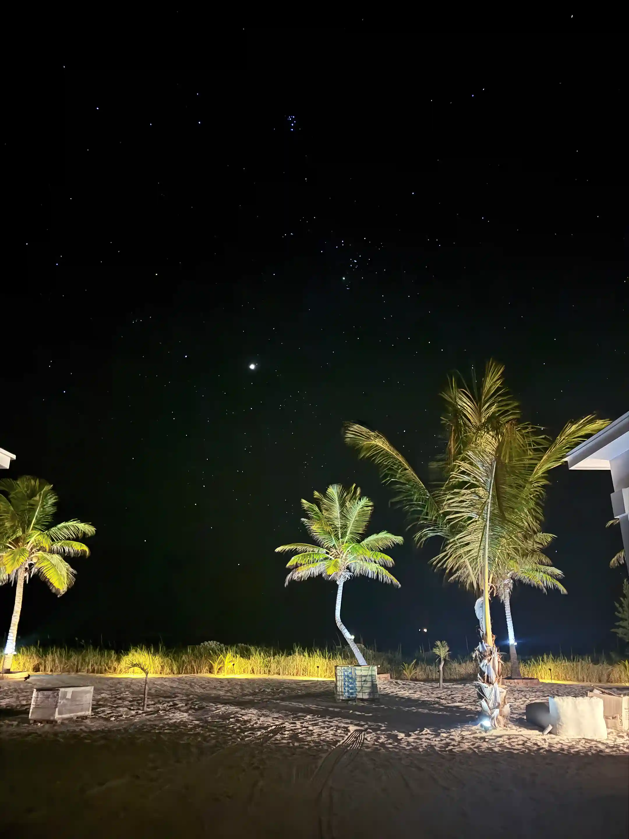 Gaze at the stars at night