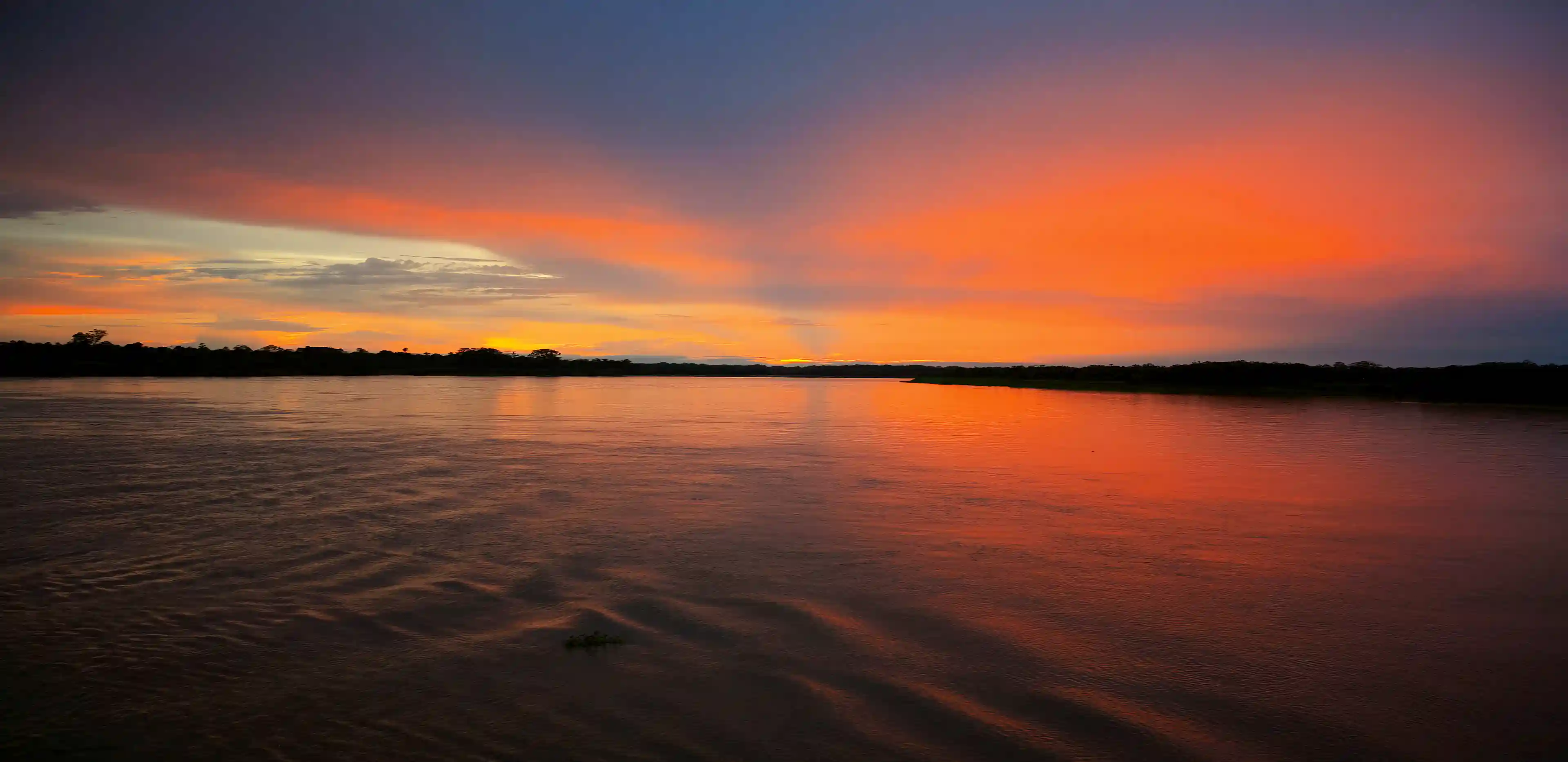 Amazonian Forets for Sale in Native Community, Yurimaguas, Alto Amazonas, Loreto, Peru
