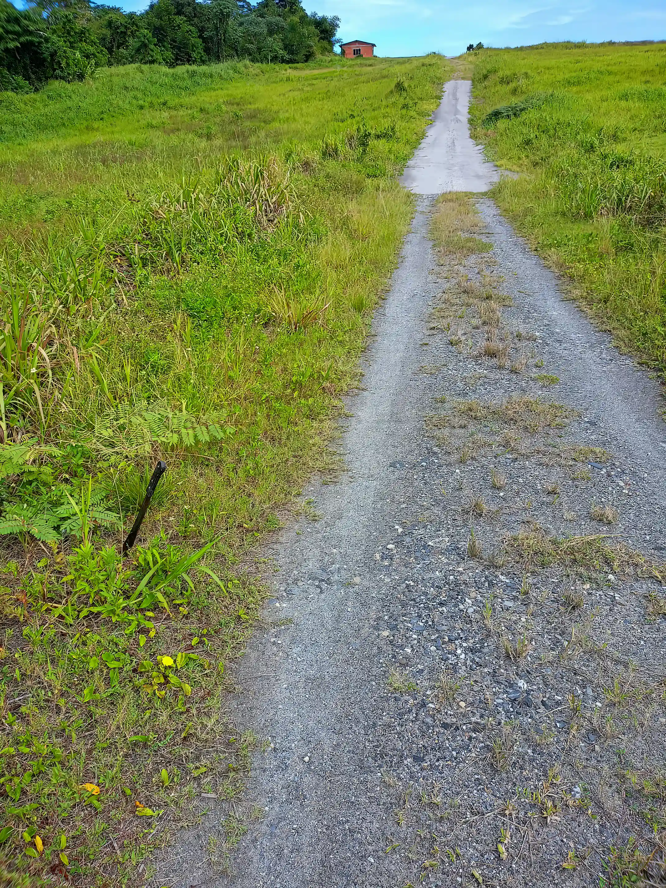 Beachside Lots for Sale in Garaway Road, Mayaro Gardens, Guayaguayare, Mayaro, Trinidad and Tobago