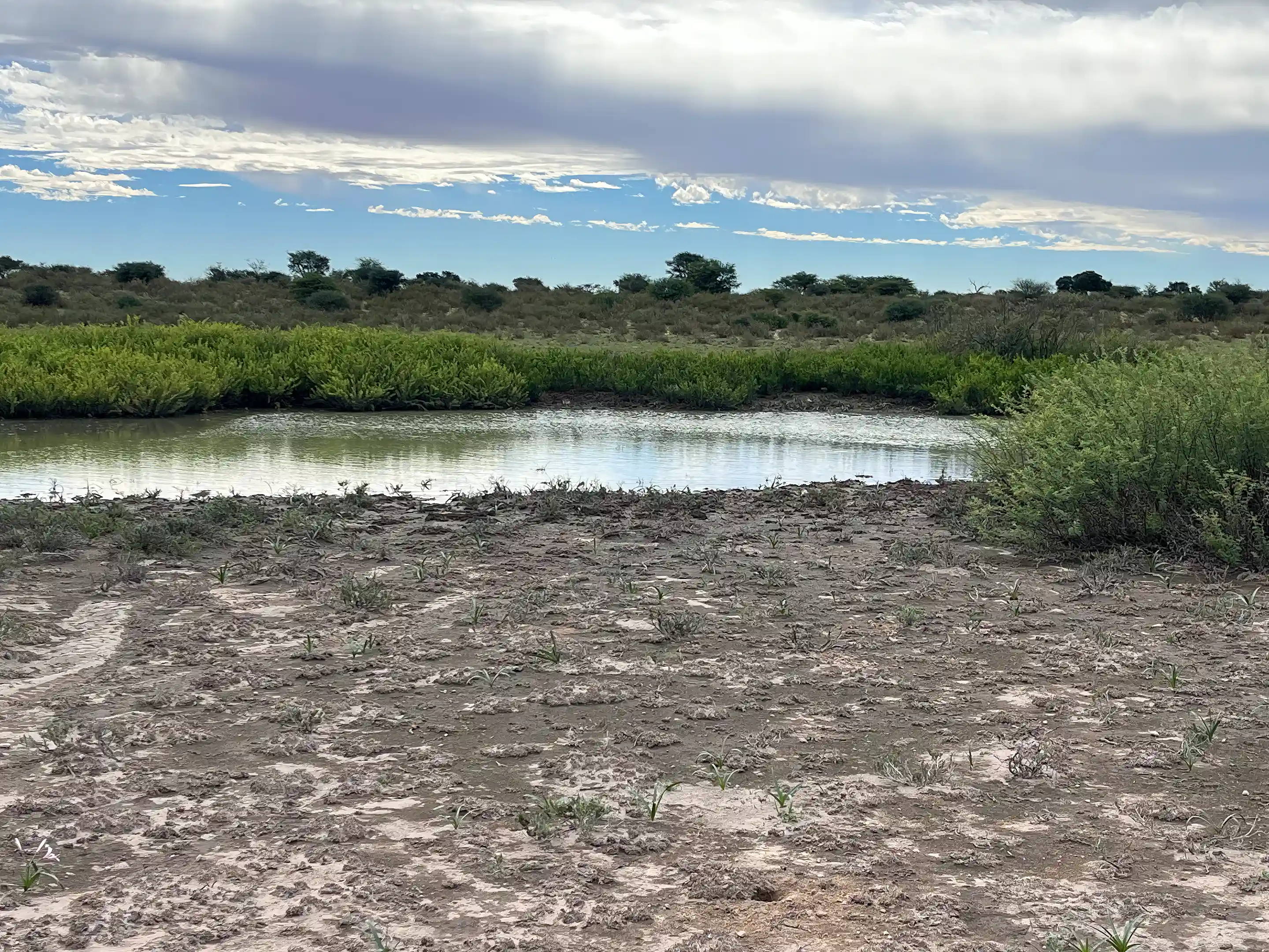 Farm for Sale in Joe Morolong, John Taolo Gaetsewe, Northern Cape, South Africa