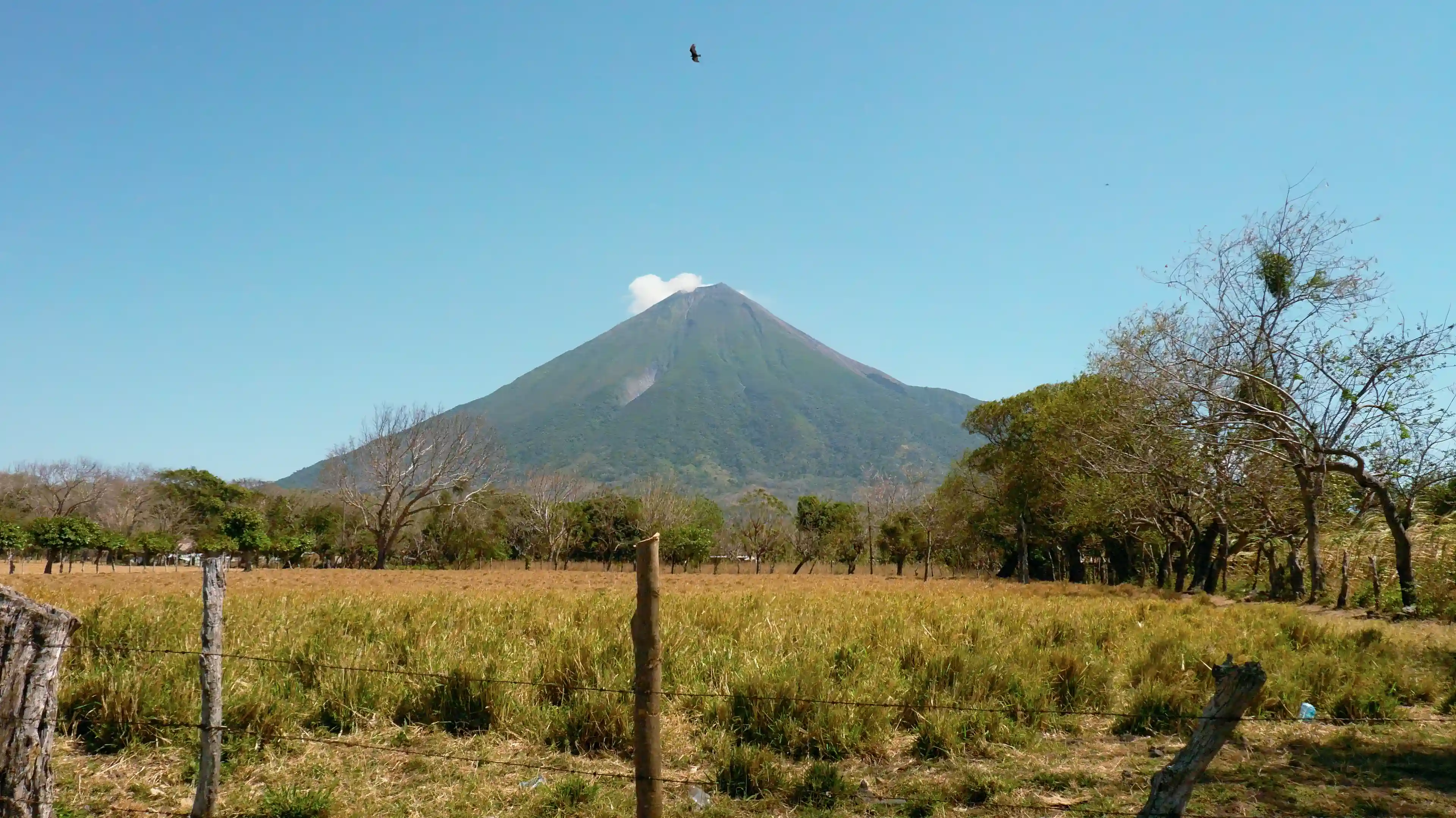 Fertile Land for Sale in San Marcos, Ometepe, Moyogalpa, Rivas, Nicaragua