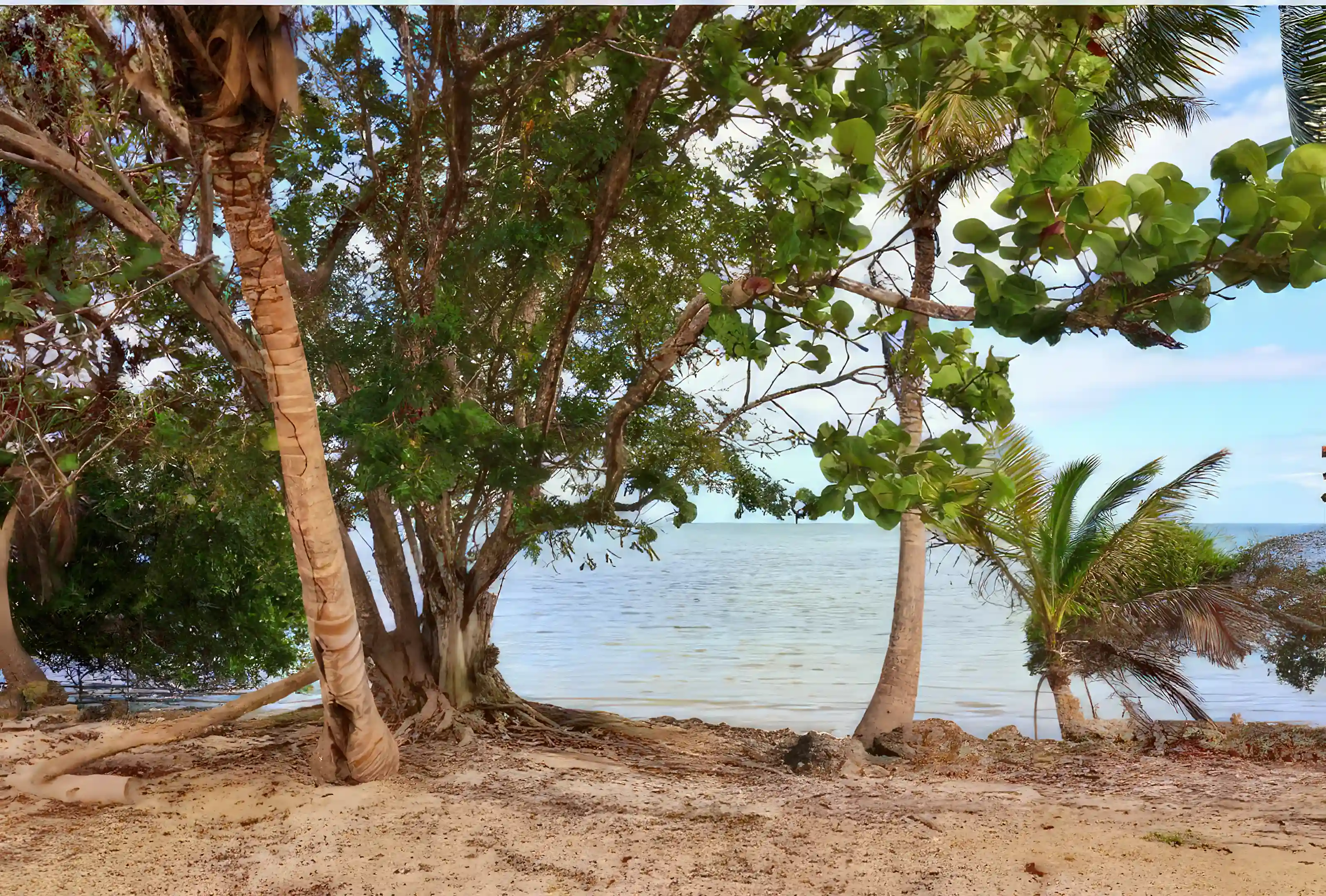 Oceanfront Building Lot for Sale in Cerros, Cerros Peninsula, Corozal, Belize