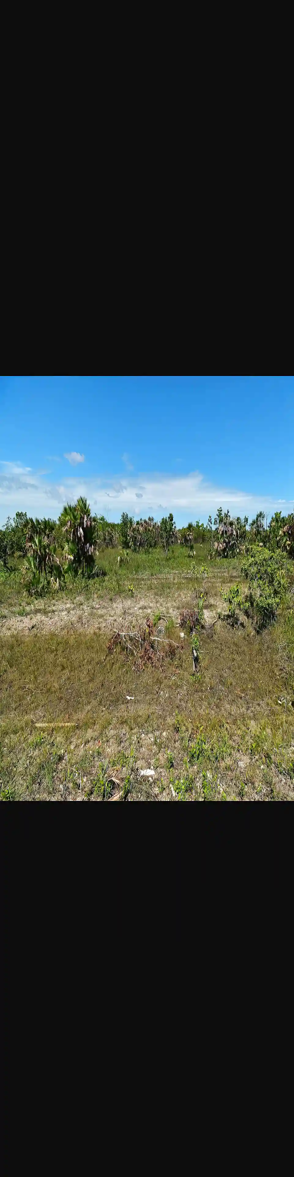 Land for Sale in Burrell Boom, Belize