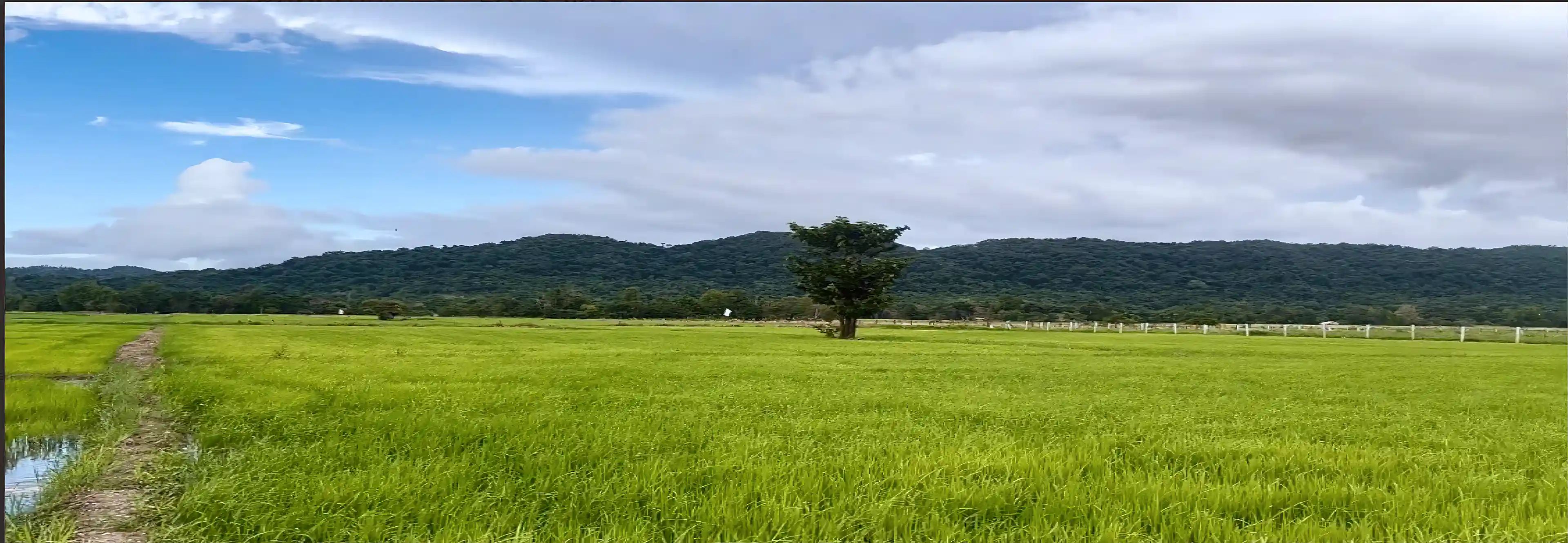 Agricultural Land for Sale in Paseco, Decalachao, Coron, Palawan, Mimaropa, Philippines