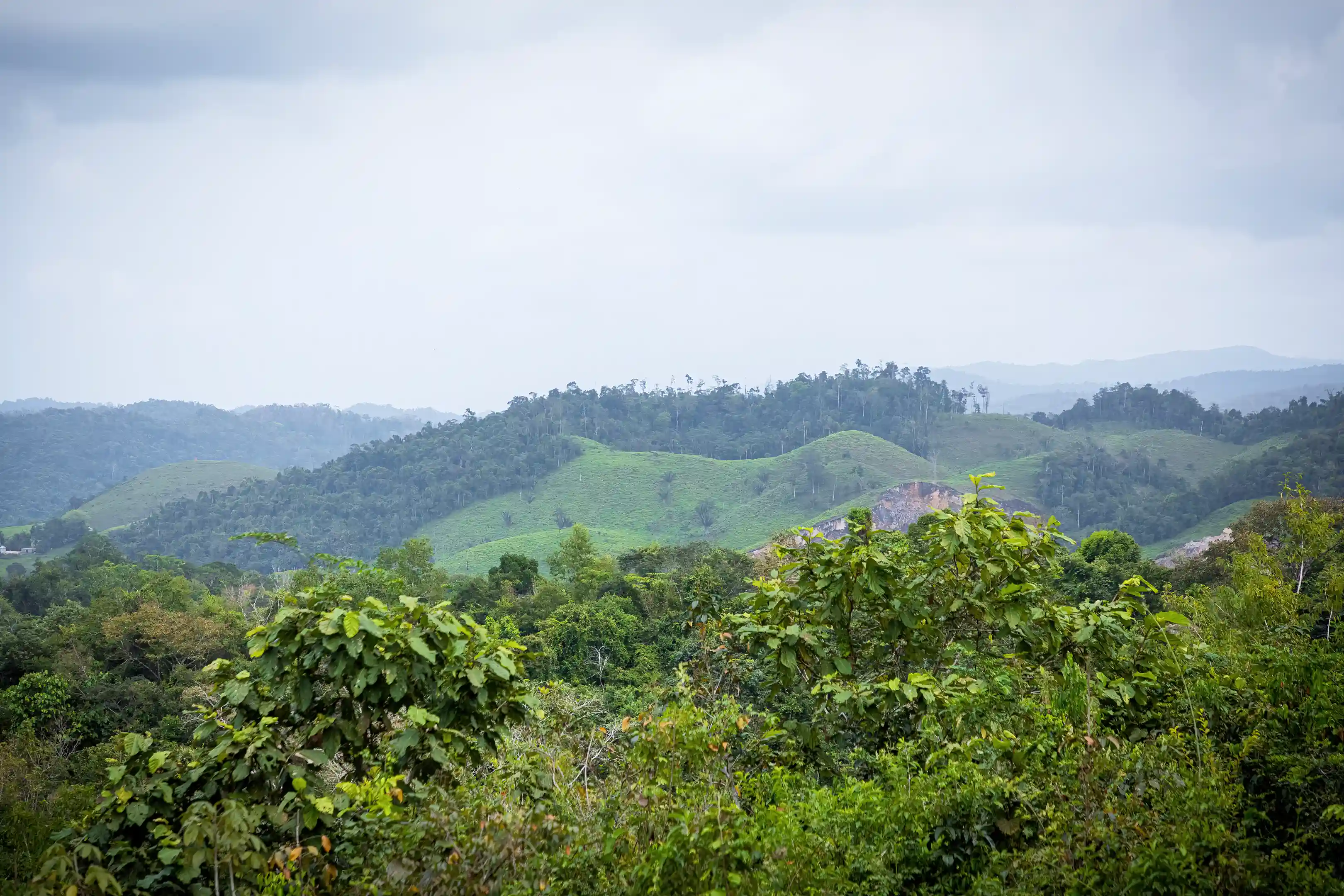 100-Acre Tropical Ranch for Sale in 7 Mile Village, Mountain Pine Ridge Road, Cayo, Belize