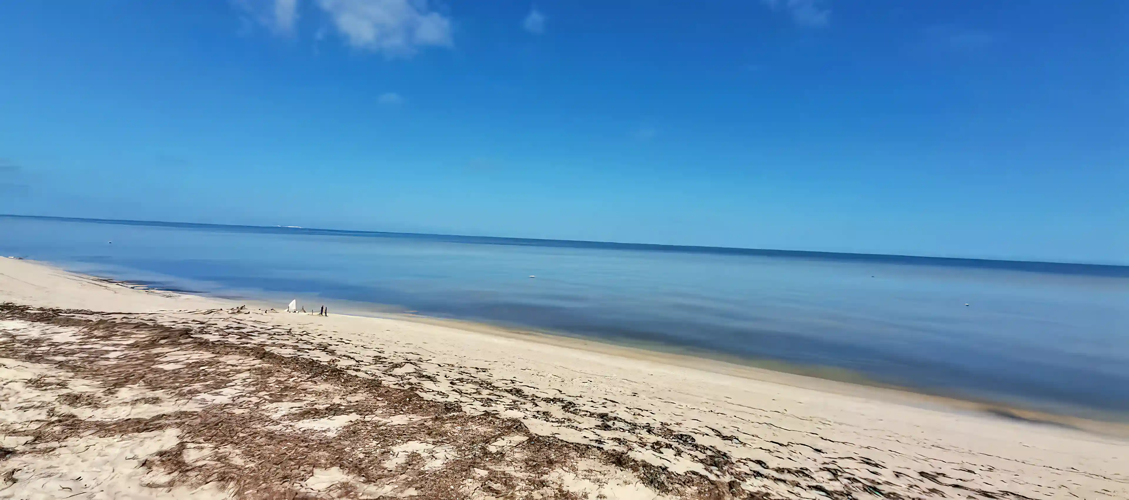 Beachfront Lot for Sale in Telchac Puerto, Yucatan, Mexico