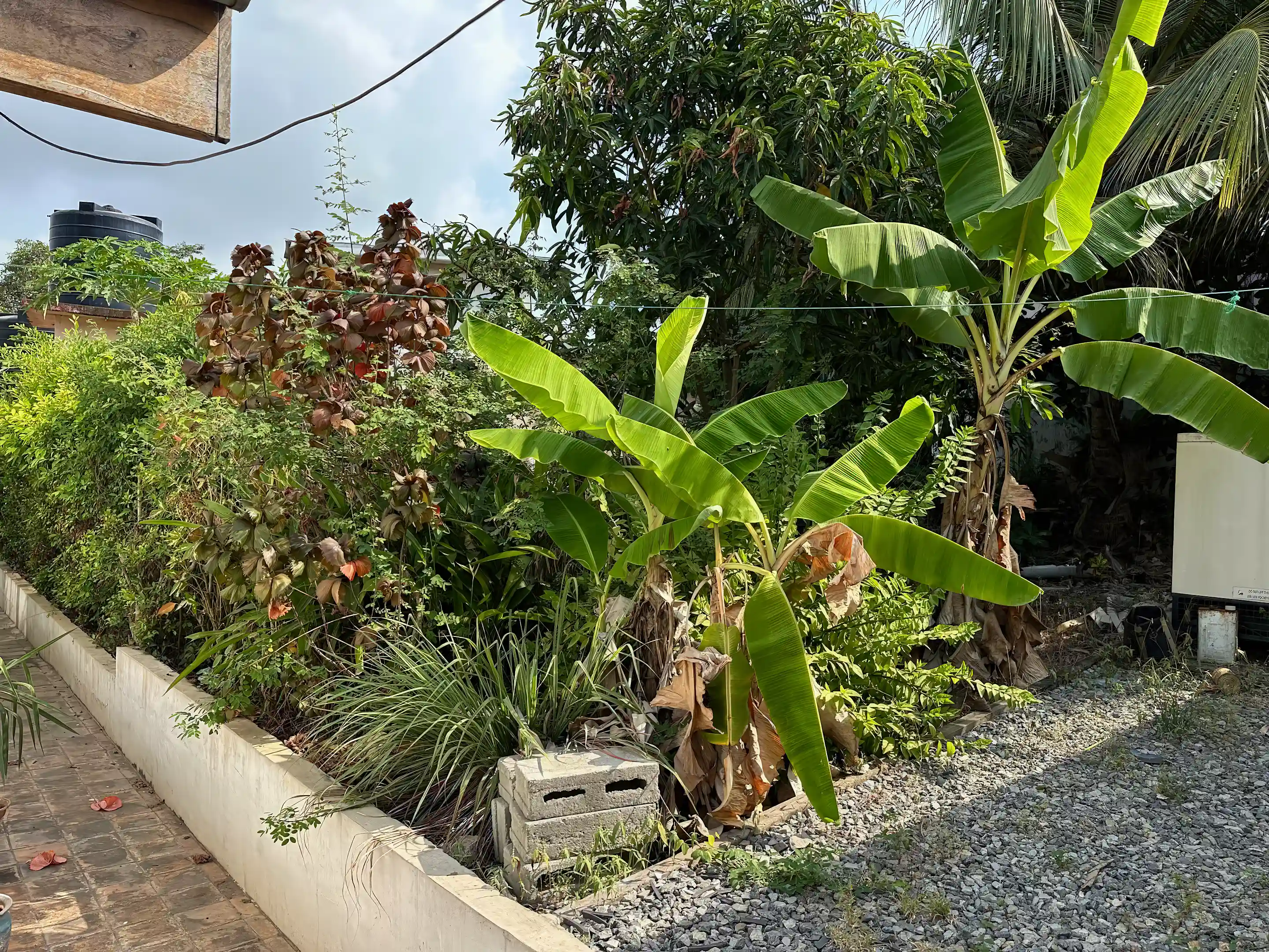 Garden and industrial capacity generator.