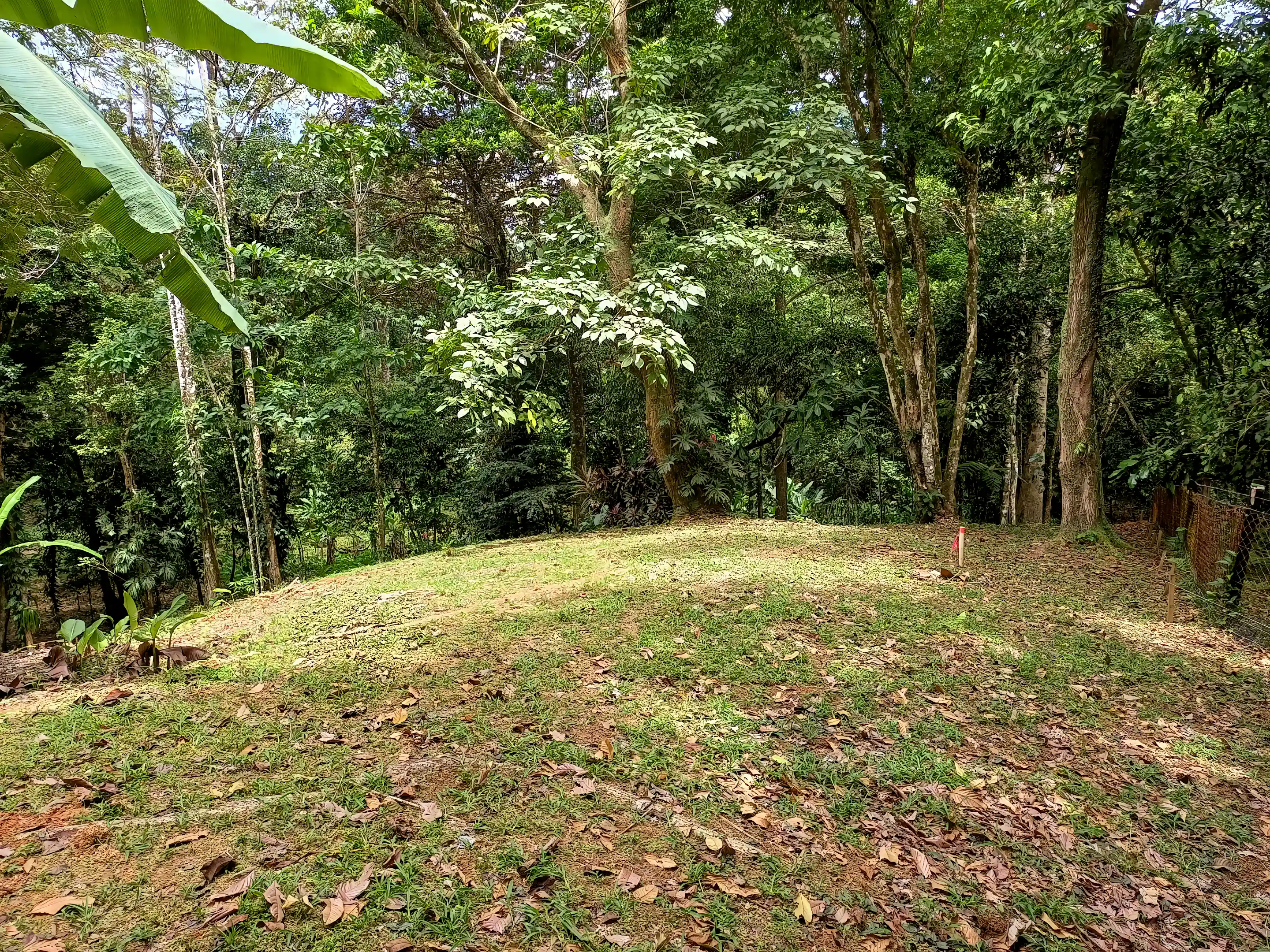 Hilltop Lot for Sale in Isla Colon, Bocas del Toro, Panama