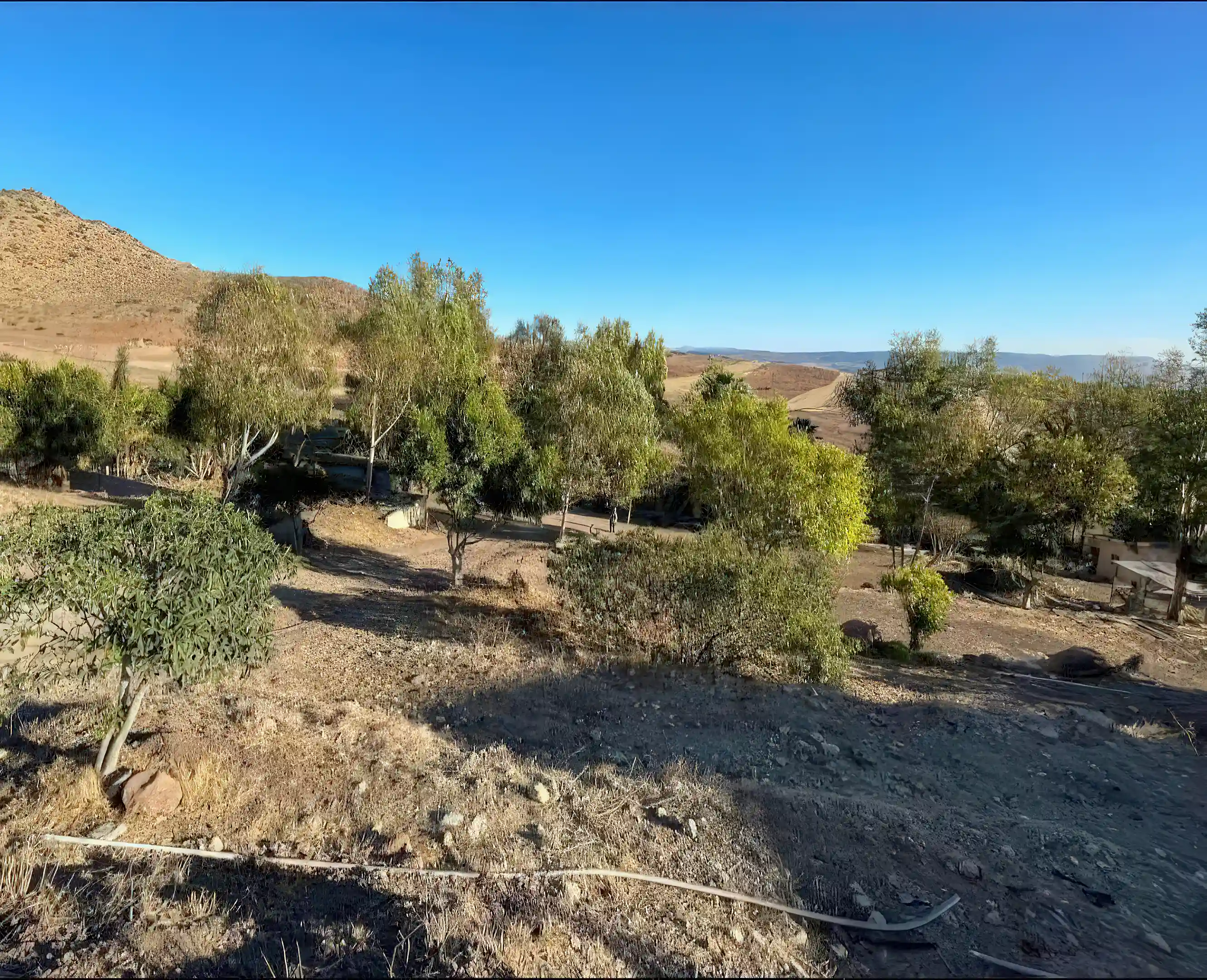 View from south facing side of lot.